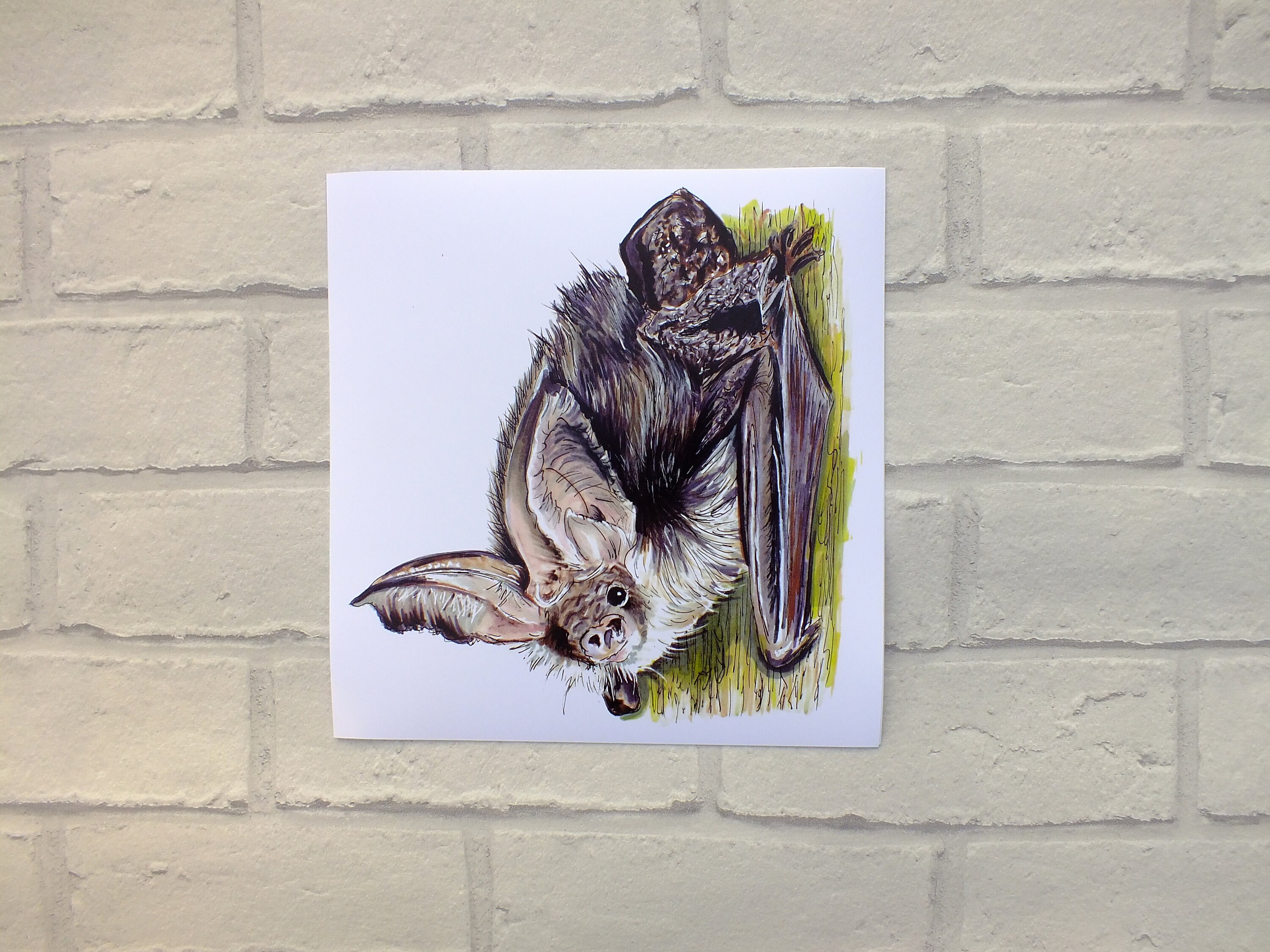 Brown Long Eared Bat Print, Bat Art Print, Bat Wall Art, Bat Gift, Gift for Bat Lover, Bat Illustrat