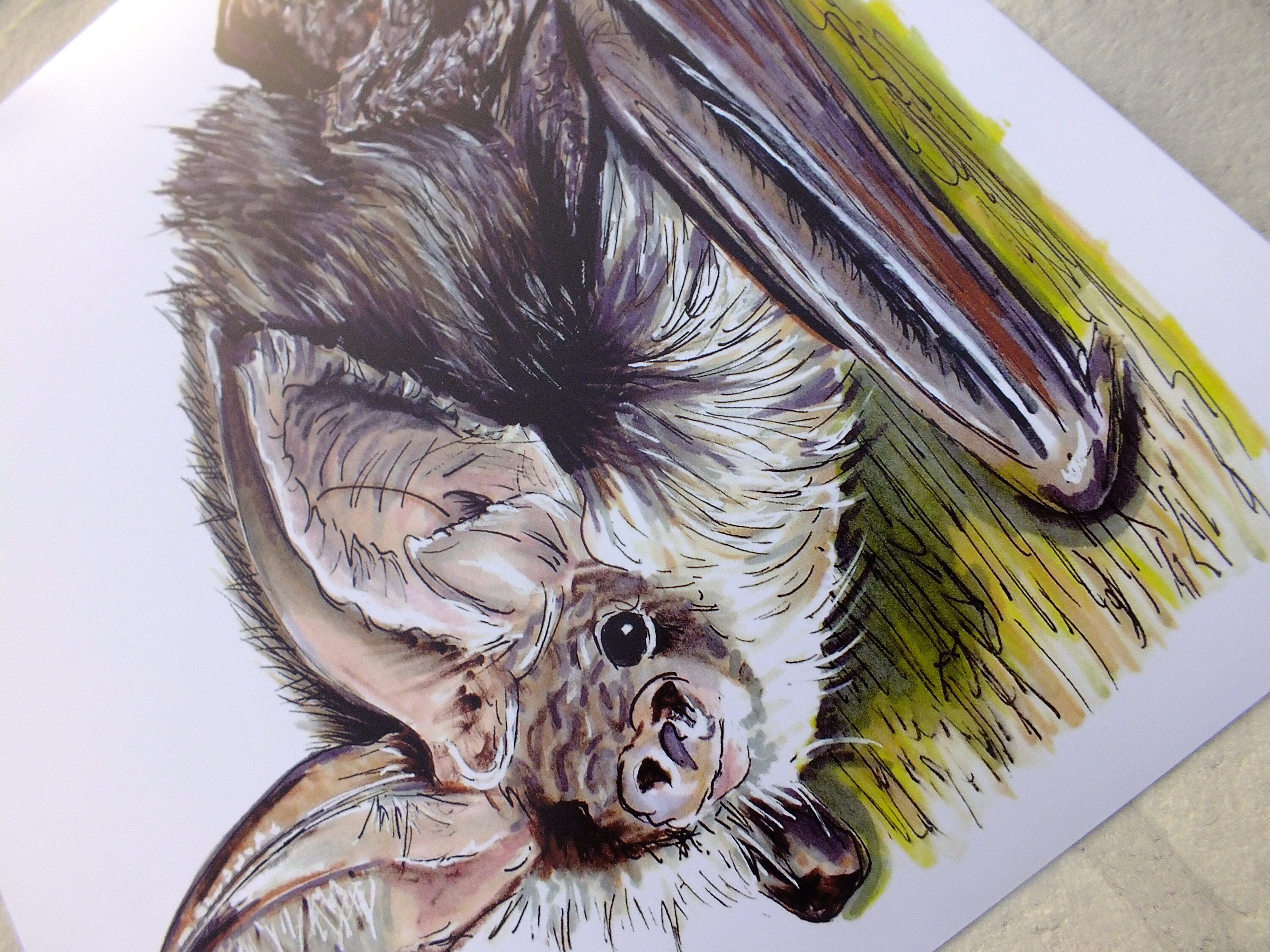Brown Long Eared Bat Print, Bat Art Print, Bat Wall Art, Bat Gift, Gift for Bat Lover, Bat Illustrat