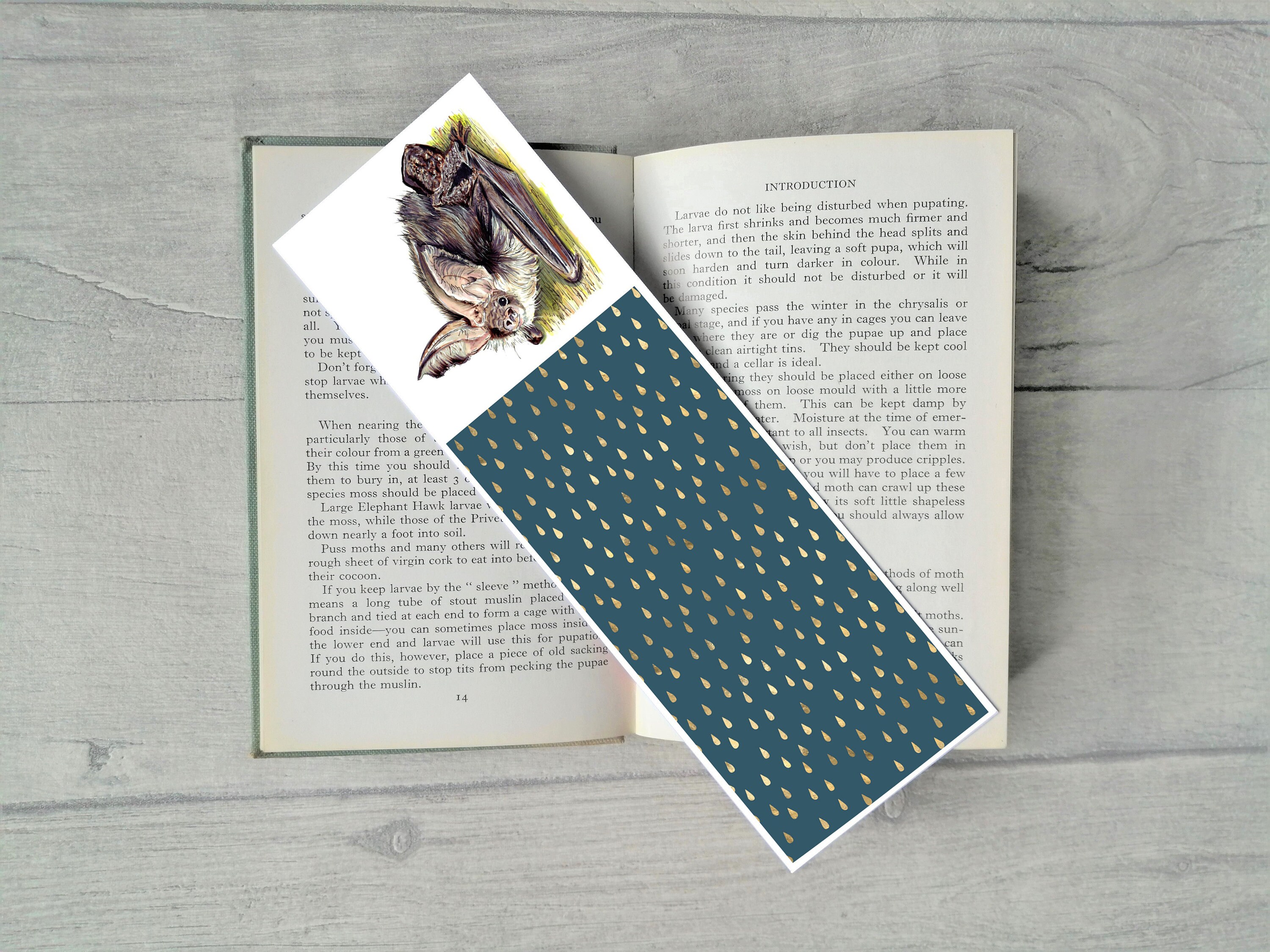 Bat Bookmark, Bat Lover Gift, Brown Long-Eared Bat Bookmark, Bat Gift, Bat Gift UK