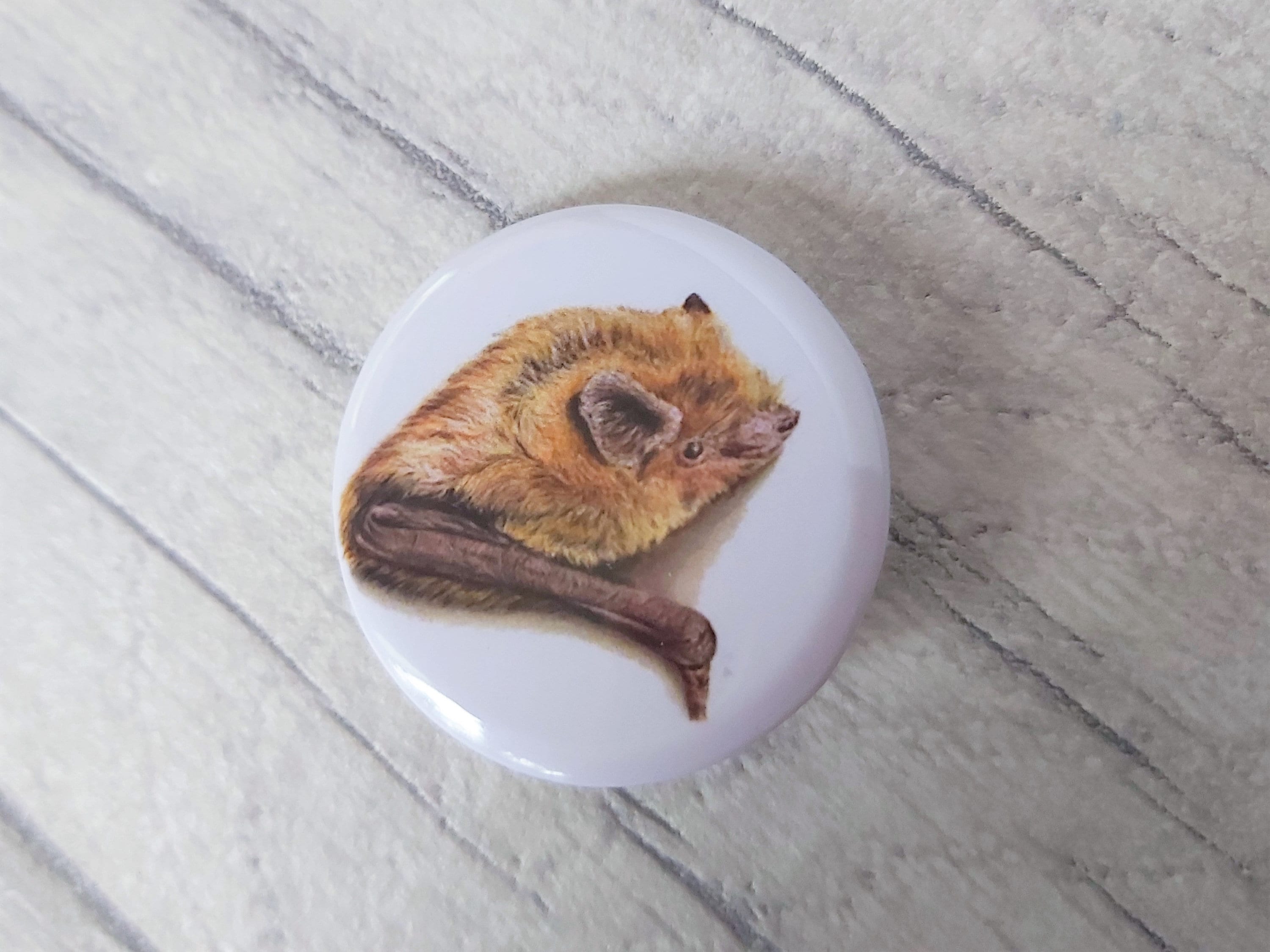 Bat Badges, Bat Button Badges, Common Pipistrelle, Brown Long Eared Bat, 32mm Badges, Bat Lover Gift
