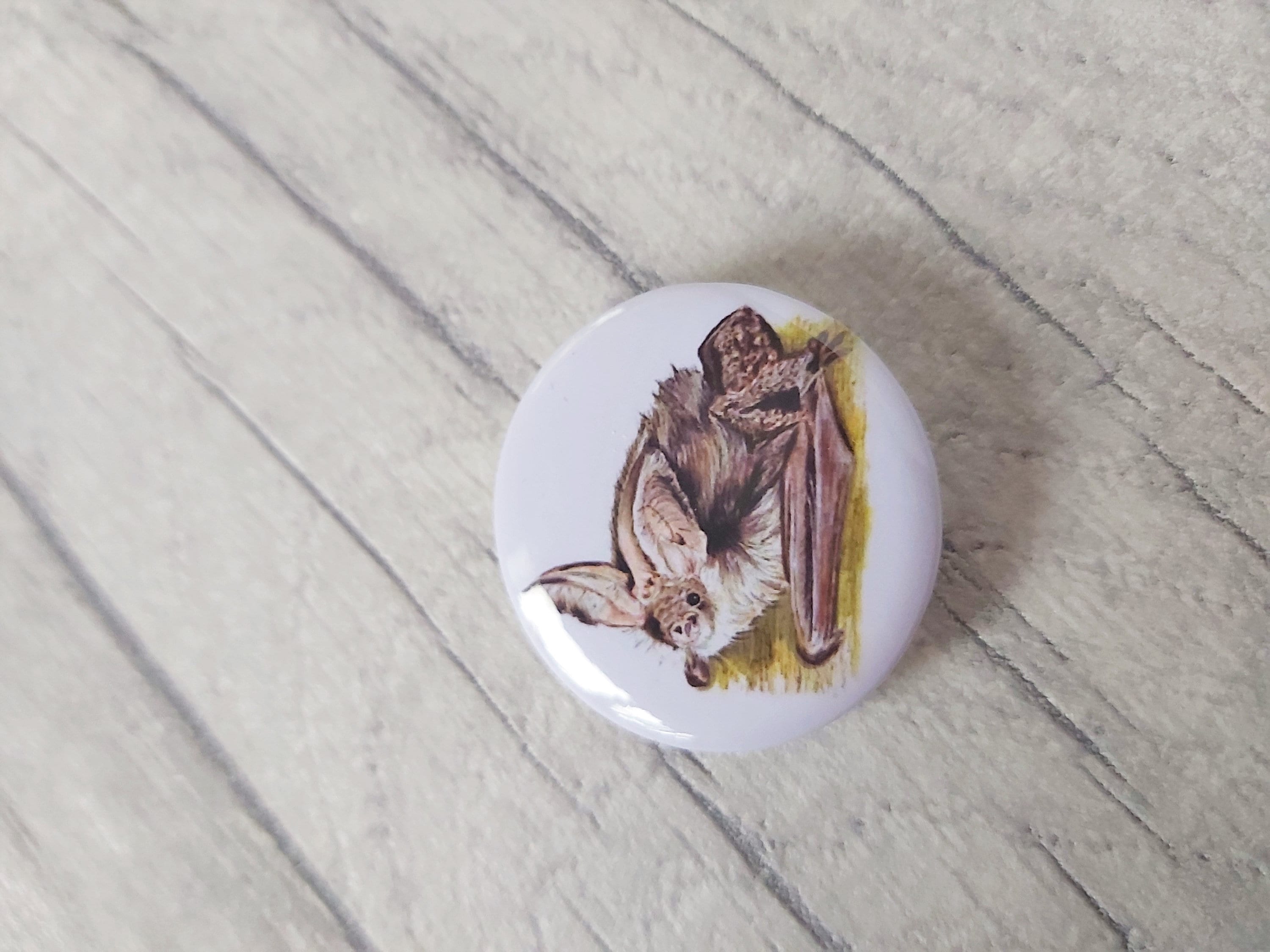Bat Badges, Bat Button Badges, Common Pipistrelle, Brown Long Eared Bat, 32mm Badges, Bat Lover Gift