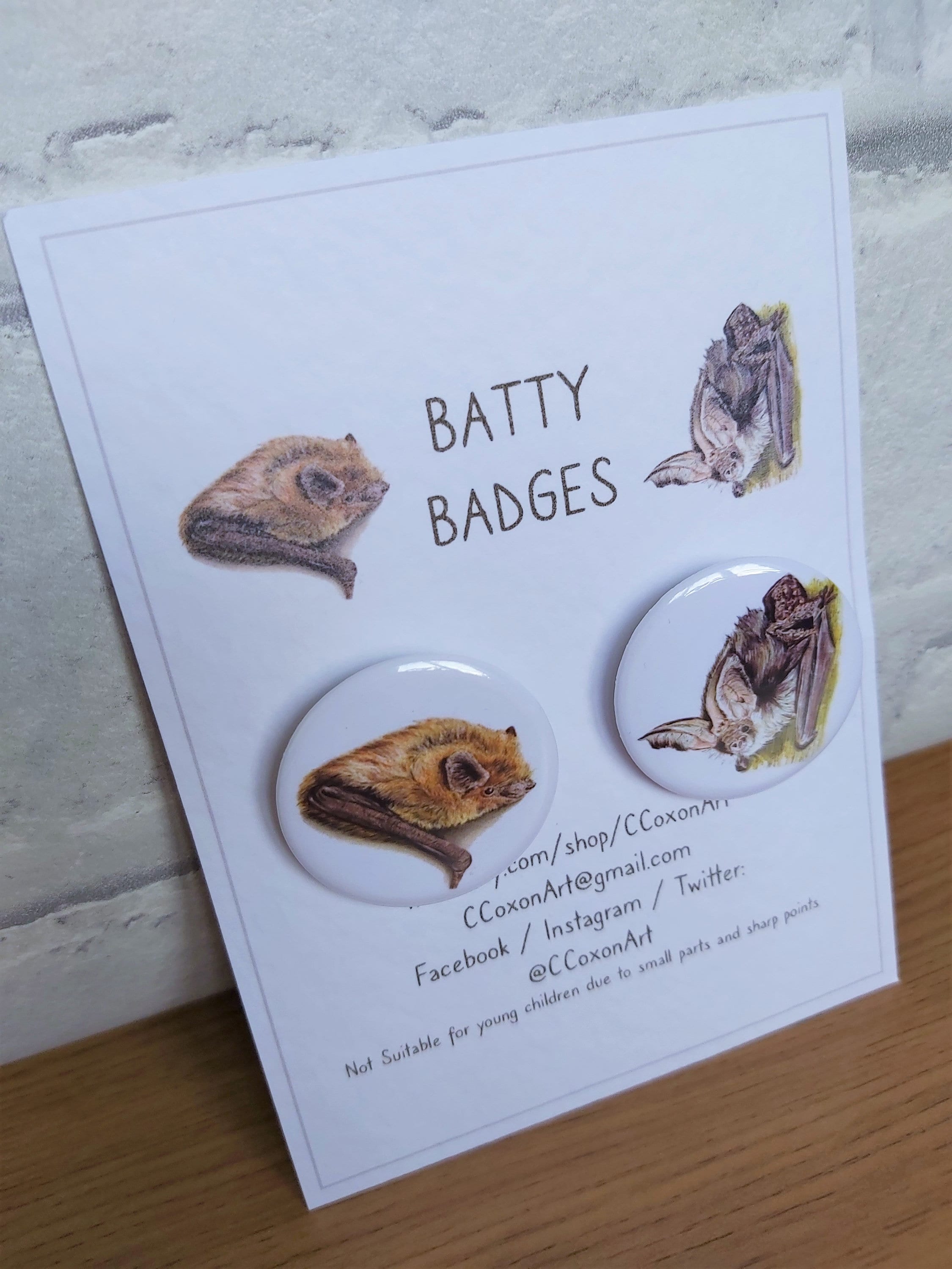 Bat Badges, Bat Button Badges, Common Pipistrelle, Brown Long Eared Bat, 32mm Badges, Bat Lover Gift