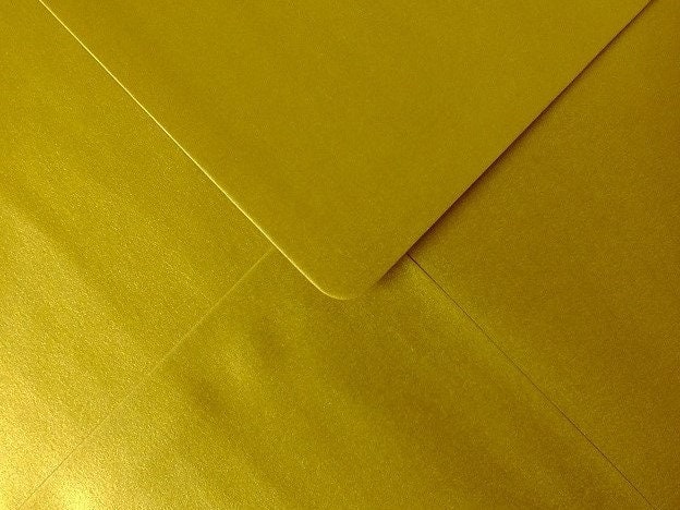 Guinea Pig Card, Birthday Card, Guinea Pig Lover Card, Personalised Guinea Pig Card, Long-Haired Gui