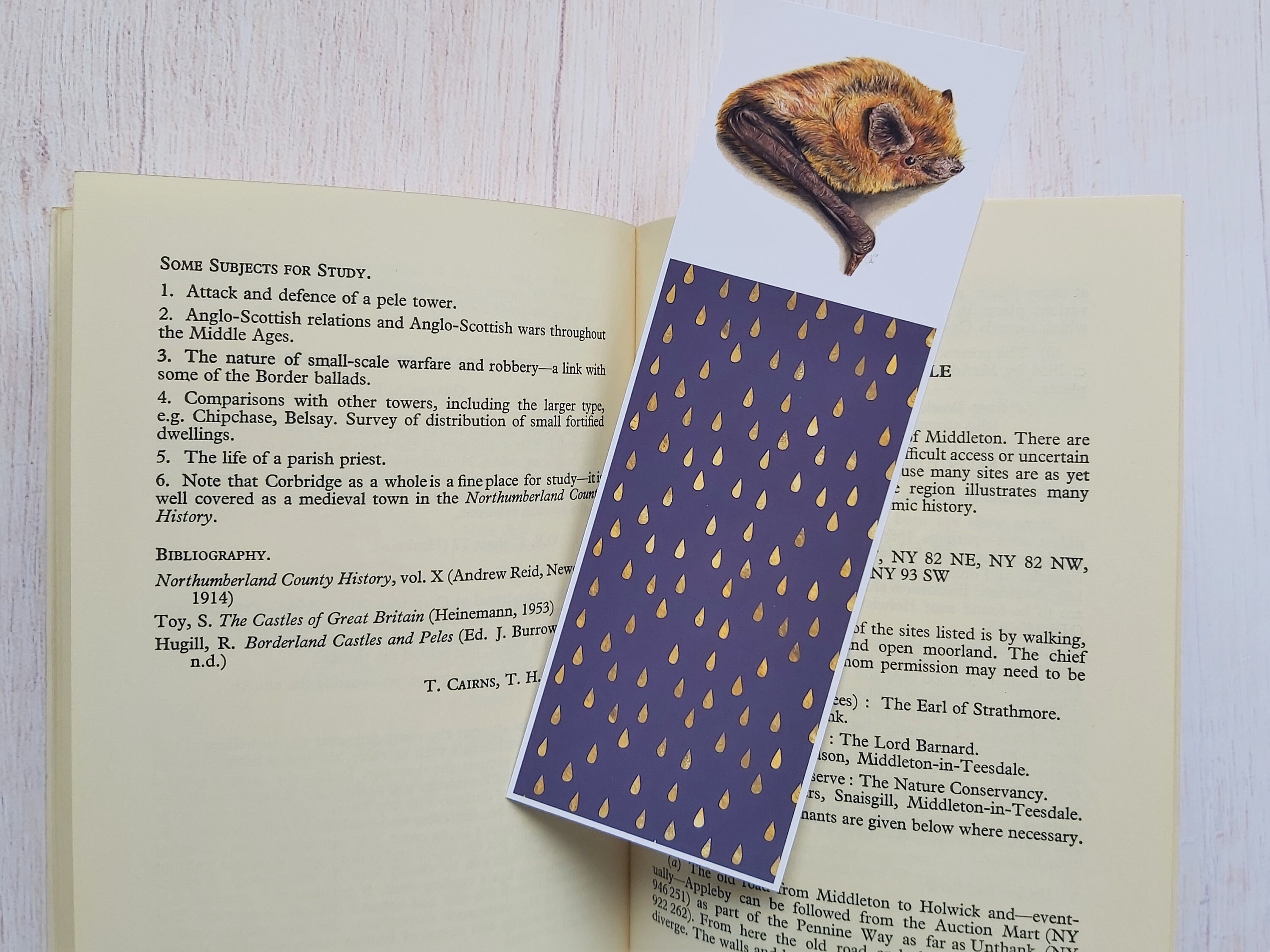 Bat Bookmark, Bat Lover Gift, Common Pipistrelle Bat Bookmark, Bat Gift UK, Bat Christmas Gift, Stoc