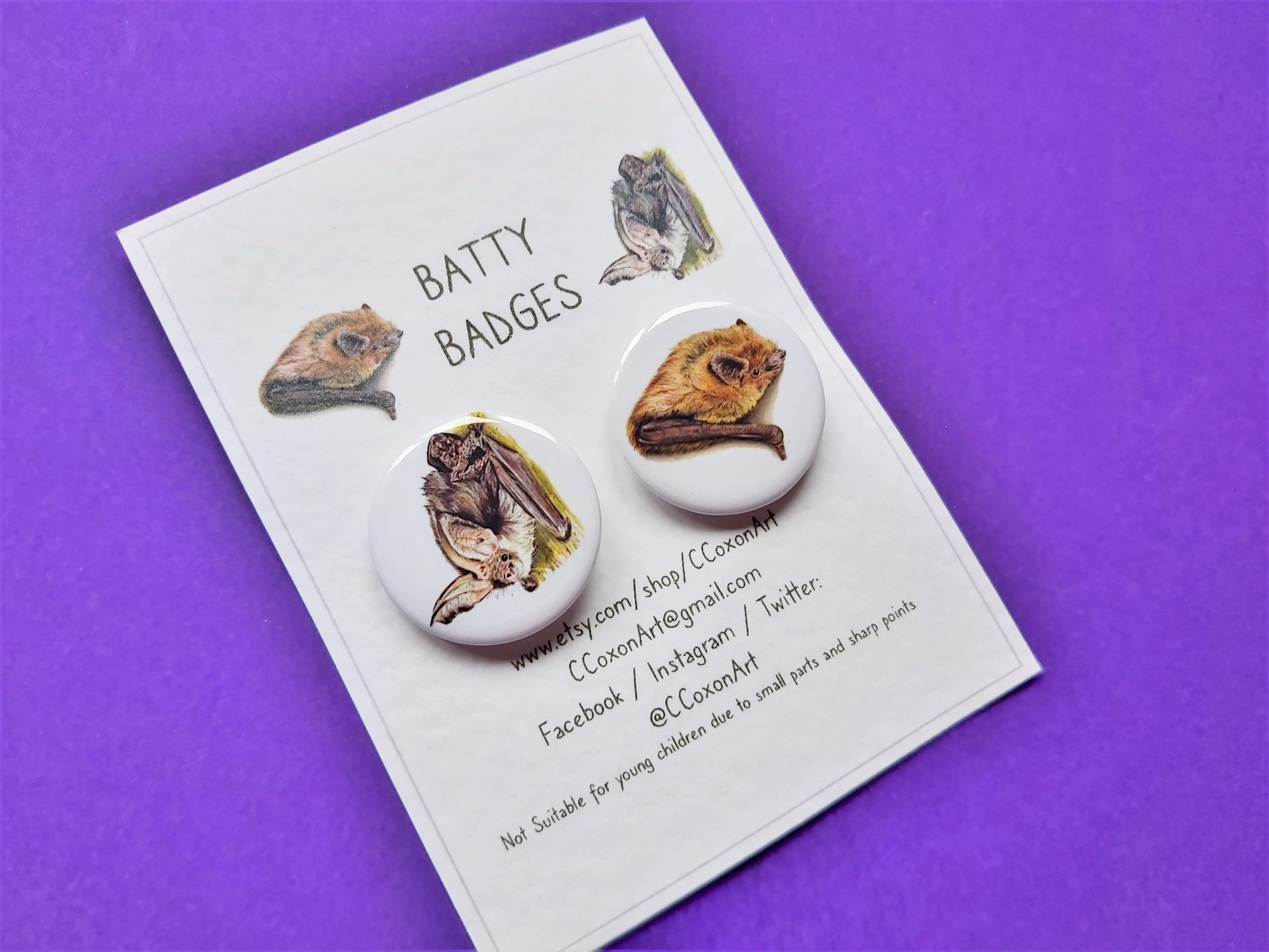 Bat Badges, Bat Button Badges, Common Pipistrelle, Brown Long Eared Bat, 32mm Badges, Bat Lover Gift