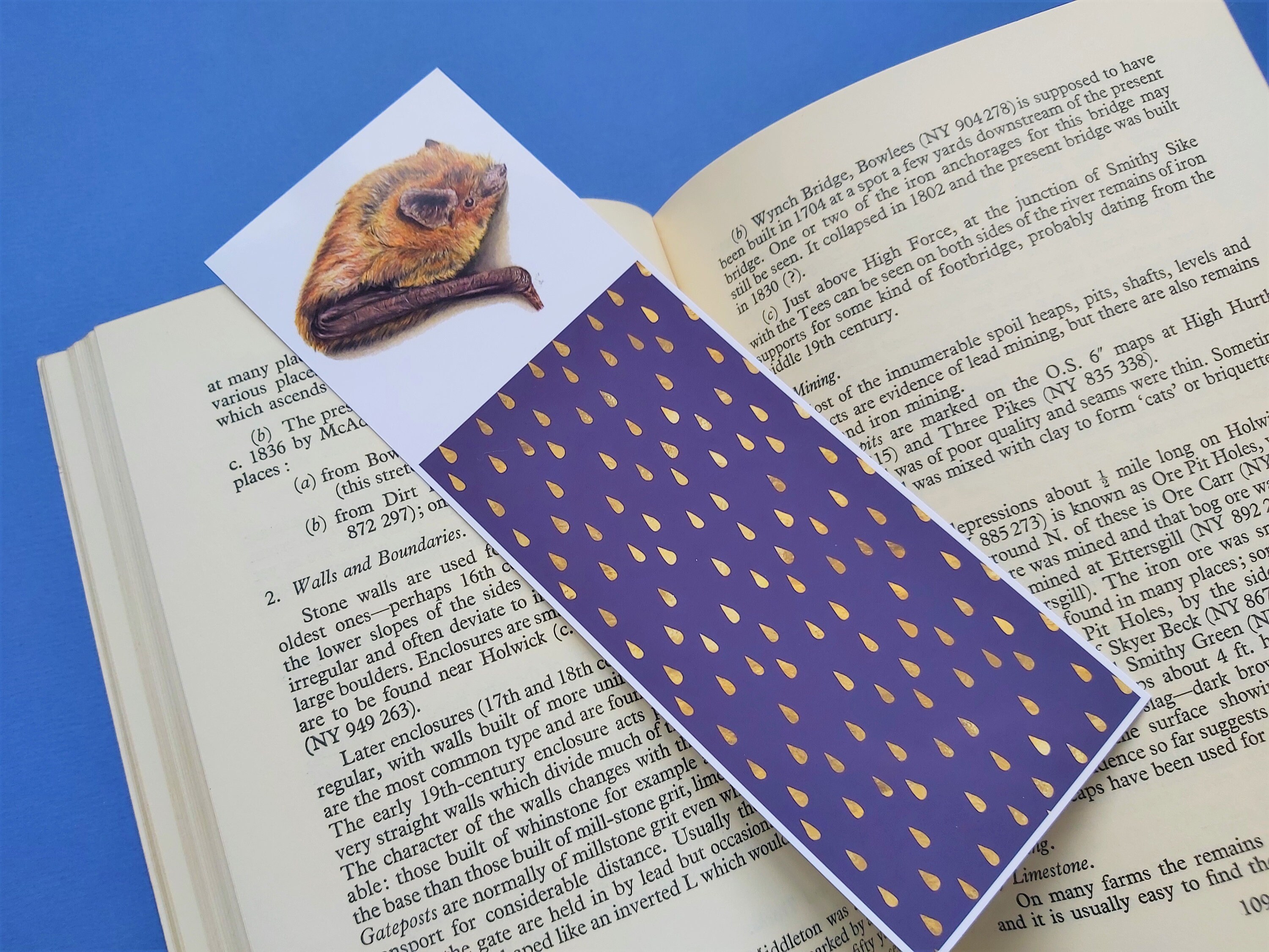 Bat Bookmark, Bat Lover Gift, Common Pipistrelle Bat Bookmark, Bat Gift UK, Bat Christmas Gift, Stoc