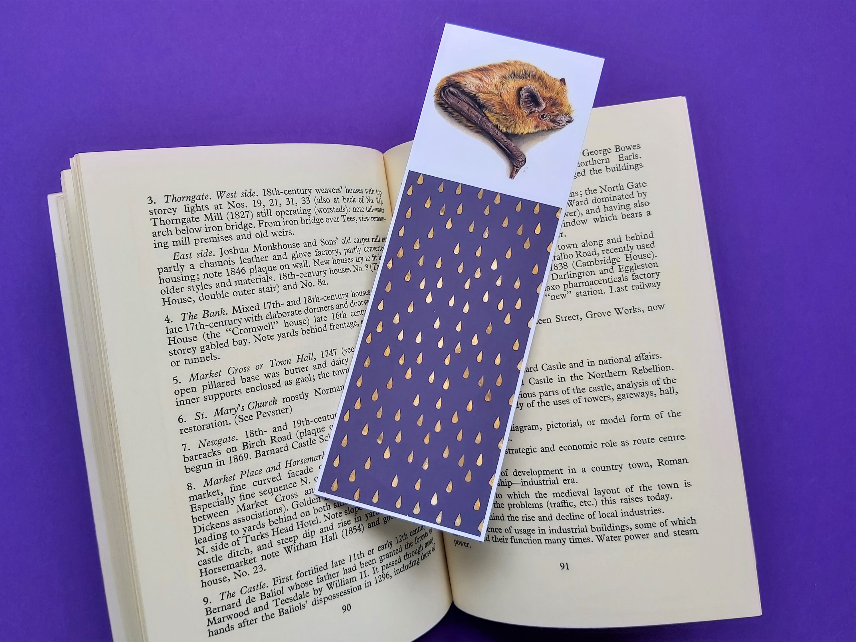 Bat Bookmark, Bat Lover Gift, Common Pipistrelle Bat Bookmark, Bat Gift UK, Bat Christmas Gift, Stoc