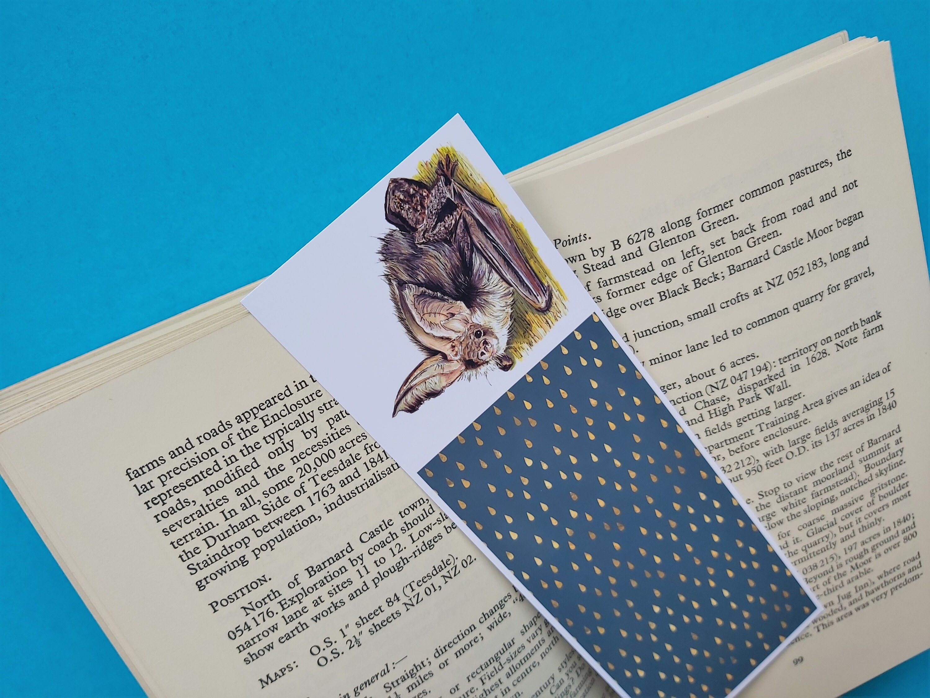 Bat Bookmark, Bat Lover Gift, Brown Long-Eared Bat Bookmark, Bat Gift, Bat Gift UK