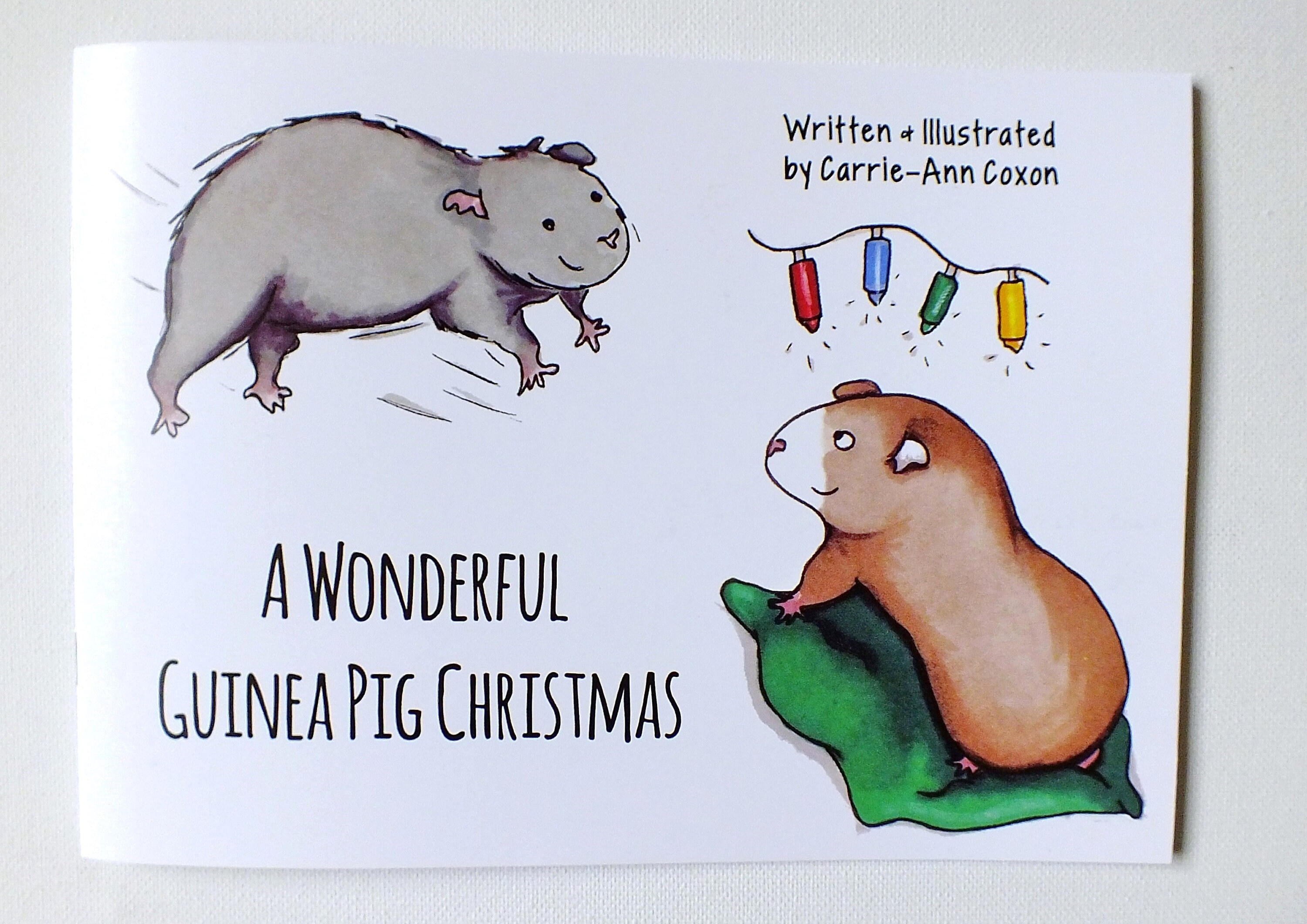 Guinea Pig Book, Guinea Pig Christmas Gift, Stocking Filler, Christmas Eve Box Filler, Kids Book, Ch