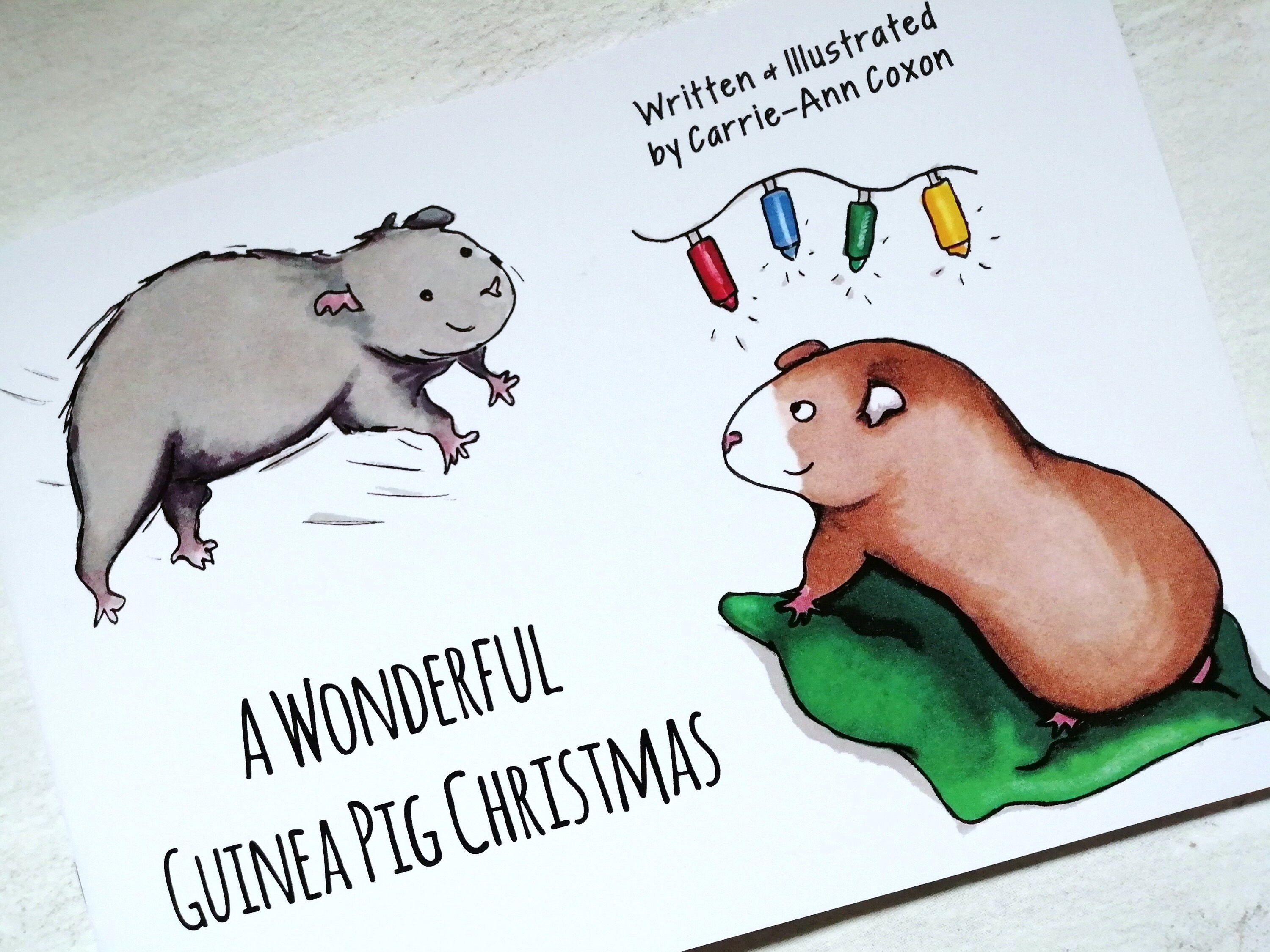 Guinea Pig Book, Guinea Pig Christmas Gift, Stocking Filler, Christmas Eve Box Filler, Kids Book, Ch