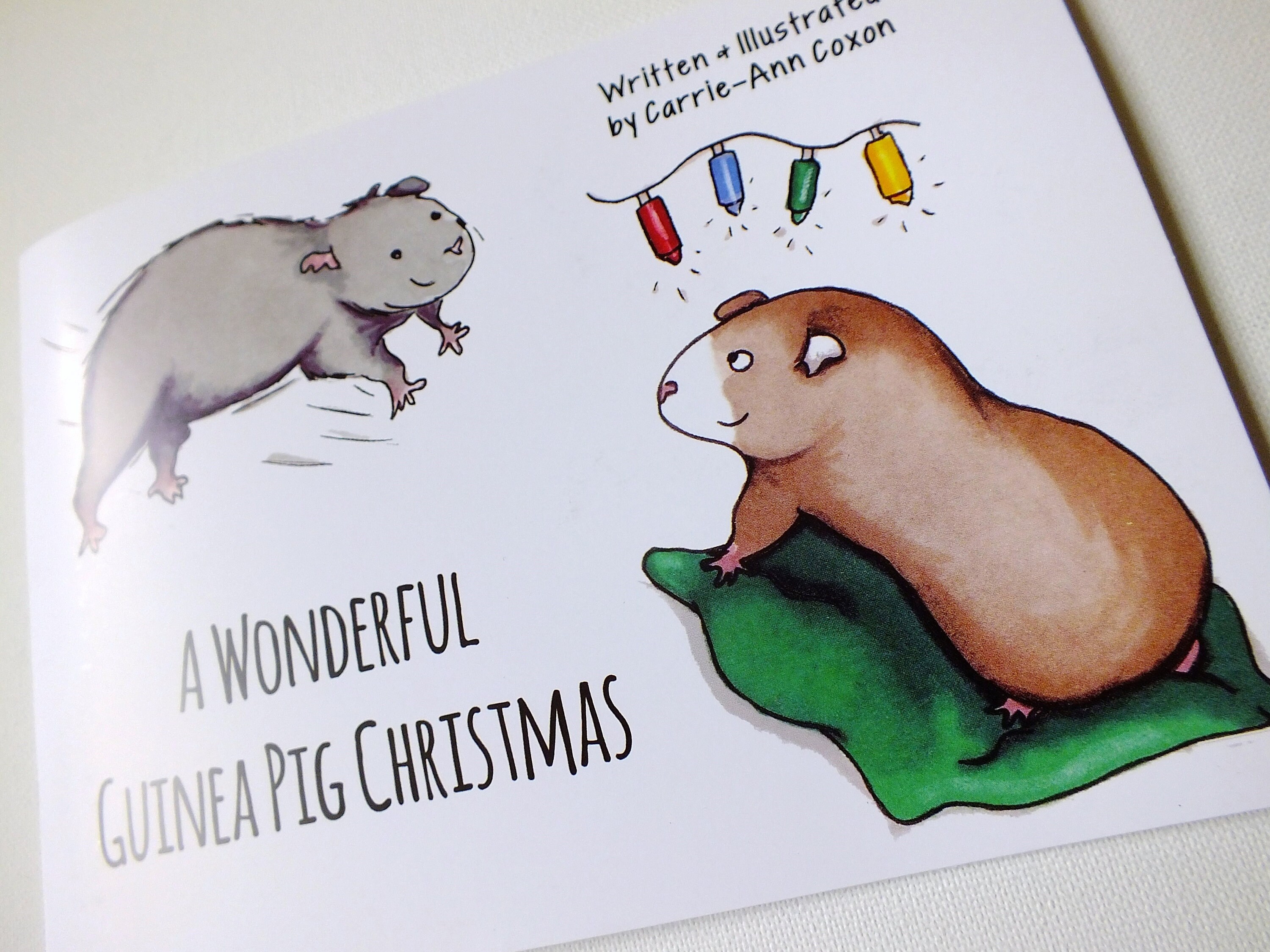 Guinea Pig Book, Guinea Pig Christmas Gift, Stocking Filler, Christmas Eve Box Filler, Kids Book, Ch