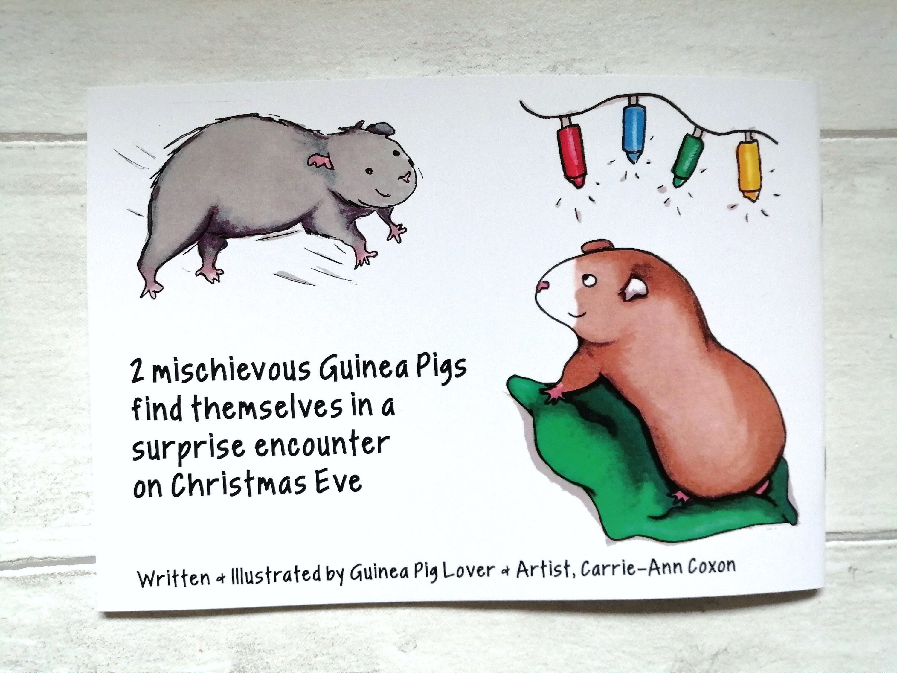 Guinea Pig Book, Guinea Pig Christmas Gift, Stocking Filler, Christmas Eve Box Filler, Kids Book, Ch