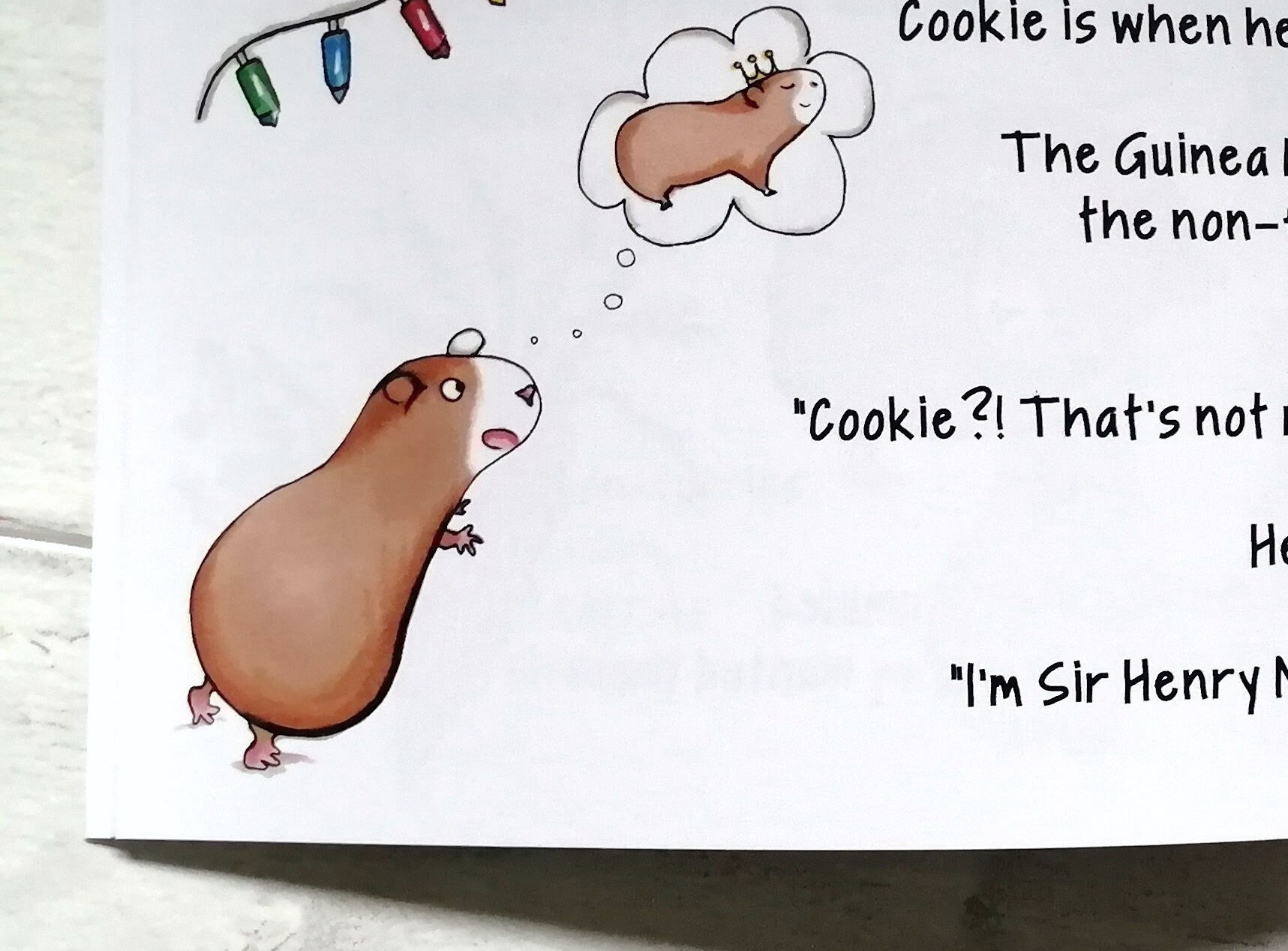 Guinea Pig Book, Guinea Pig Christmas Gift, Stocking Filler, Christmas Eve Box Filler, Kids Book, Ch