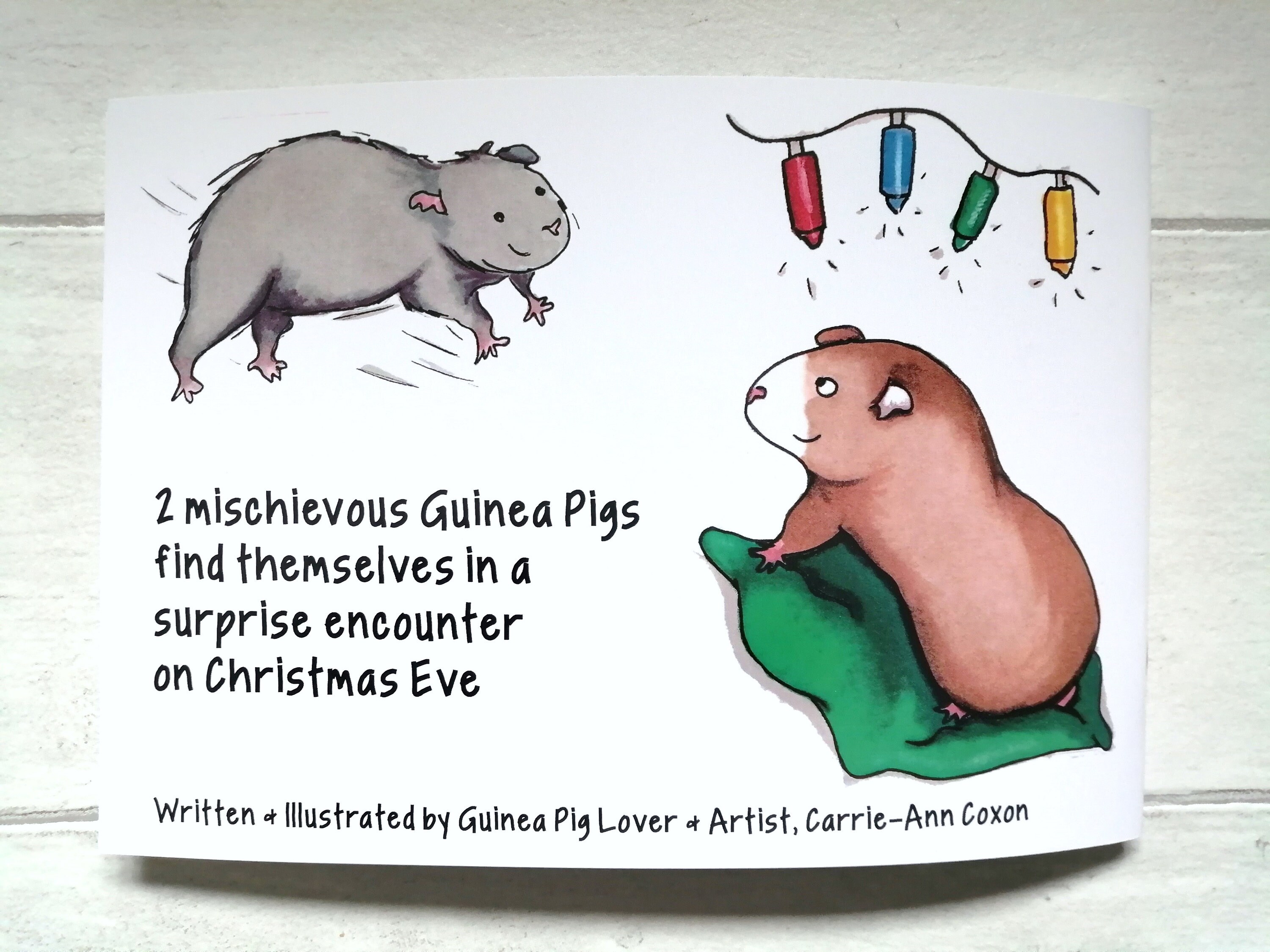 Guinea Pig Book, Guinea Pig Christmas Gift, Stocking Filler, Christmas Eve Box Filler, Kids Book, Ch