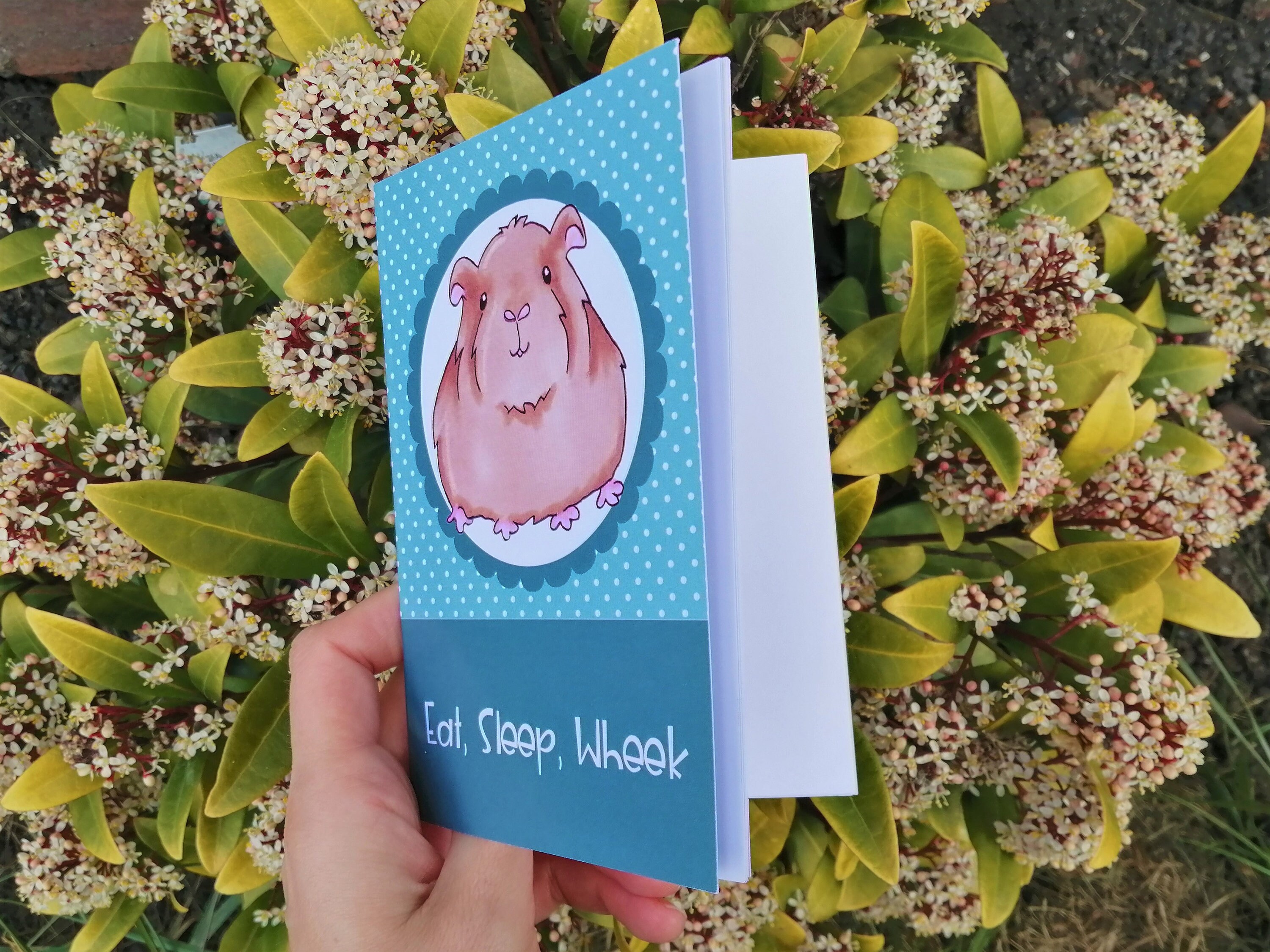 Guinea Pig Notebook, Guinea Pig Christmas Gift, Stocking Filler, Eco Friendly Notebook, Guinea Pig S