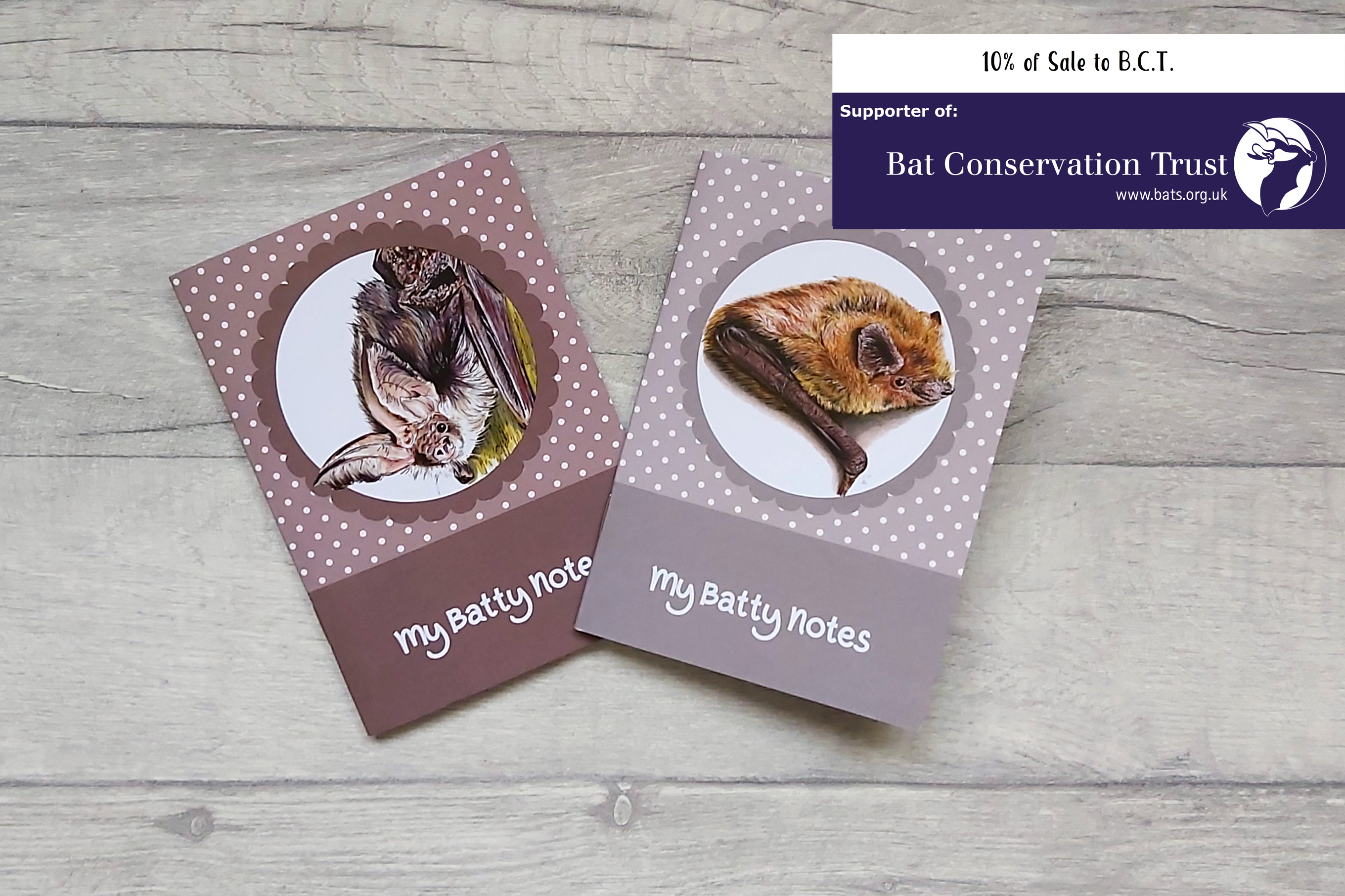 Bat Notebook Set of 2, Bat Notebook Multipack, Eco Friendly Stationery, Bat Lover Gift, Bat Gift, A6