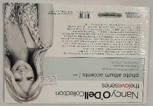 CM Nancy O'Dell photo album accents