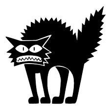 scaredy cat Die Cut Vinyl Decal sticker
