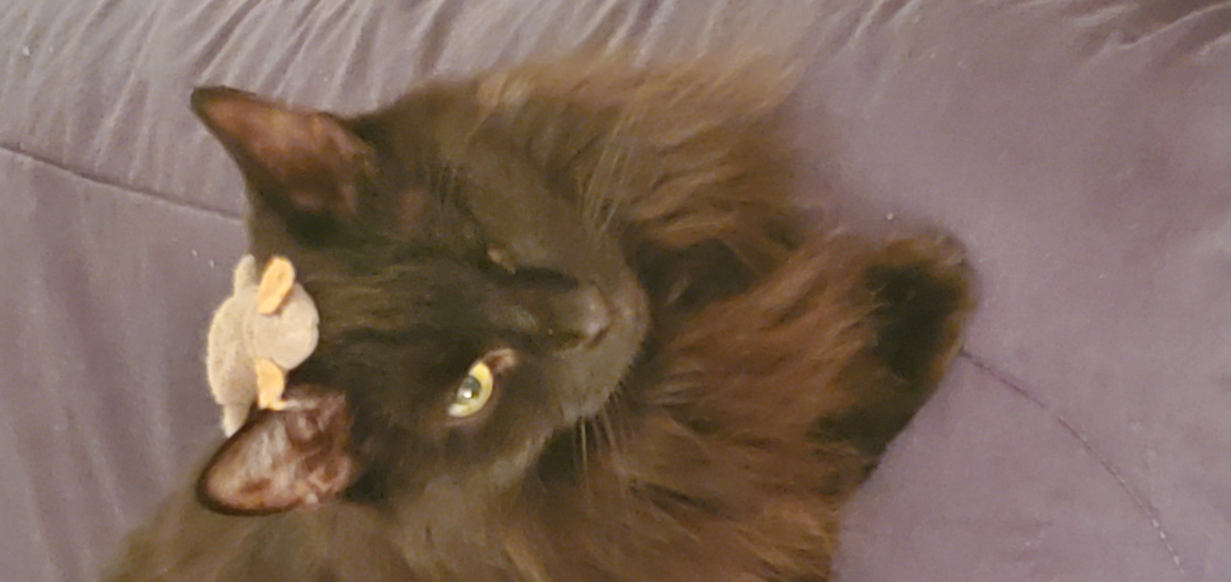 Nibbles' Nifty Treasures