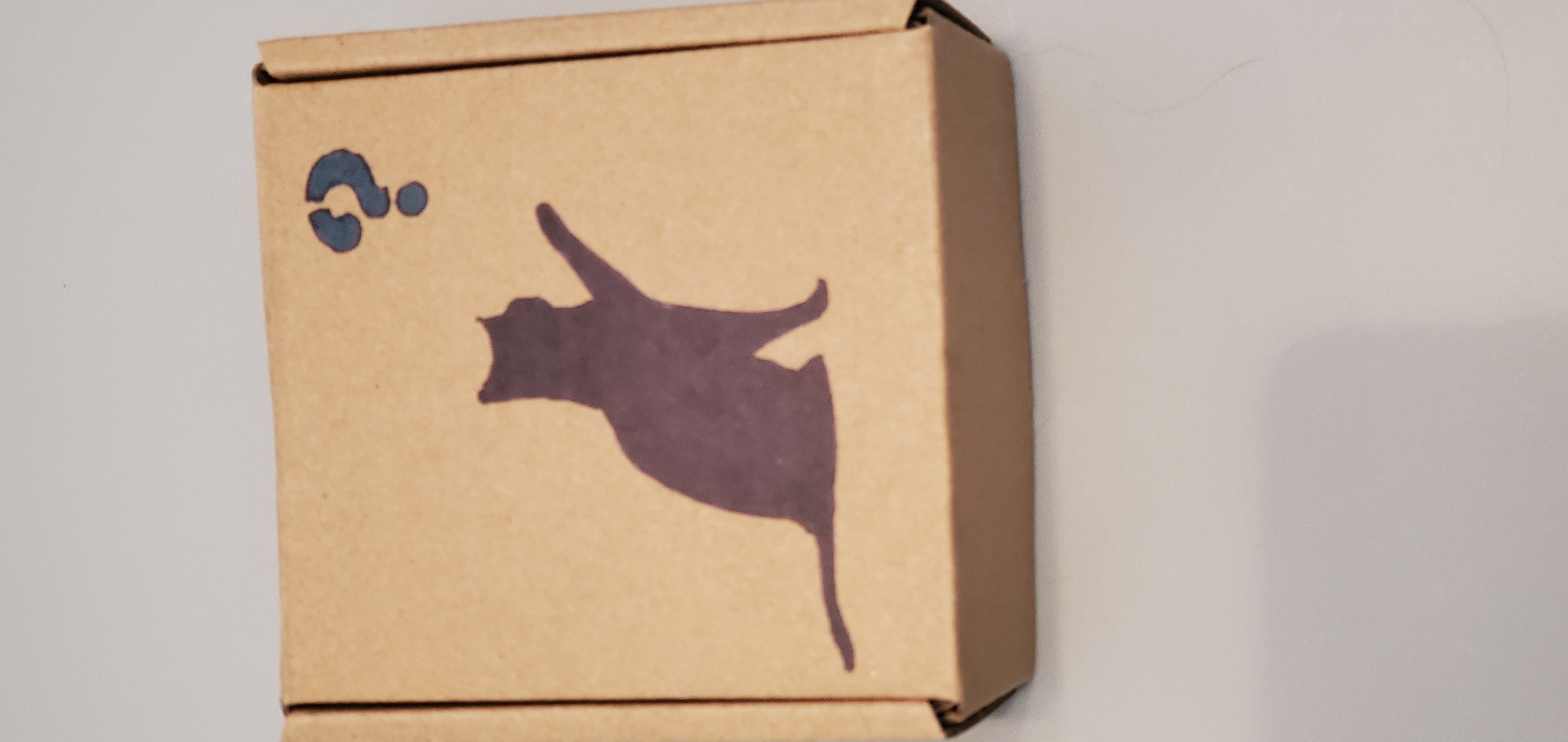 Mayhem's Mystery Box