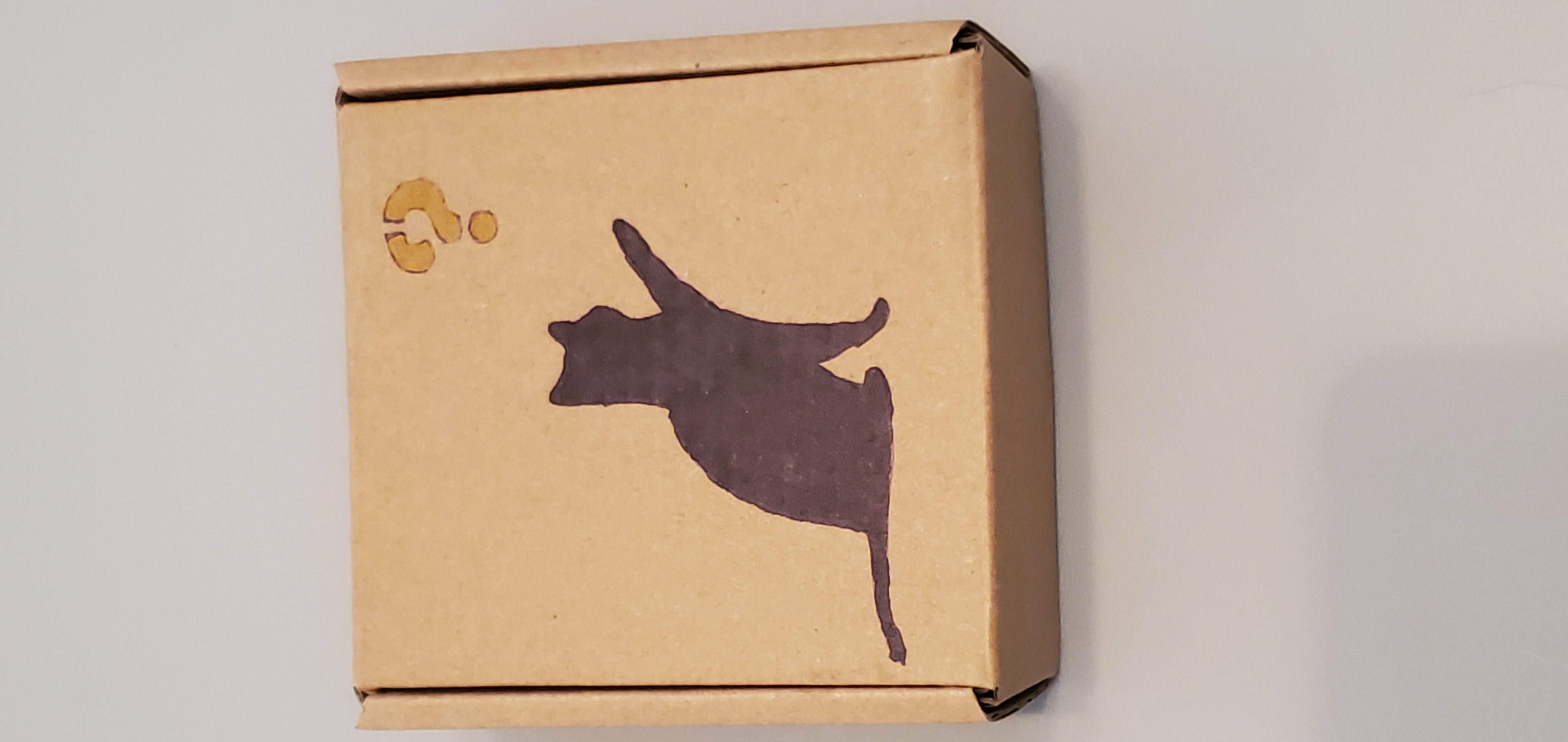 Faeyas Fairy Keepsake