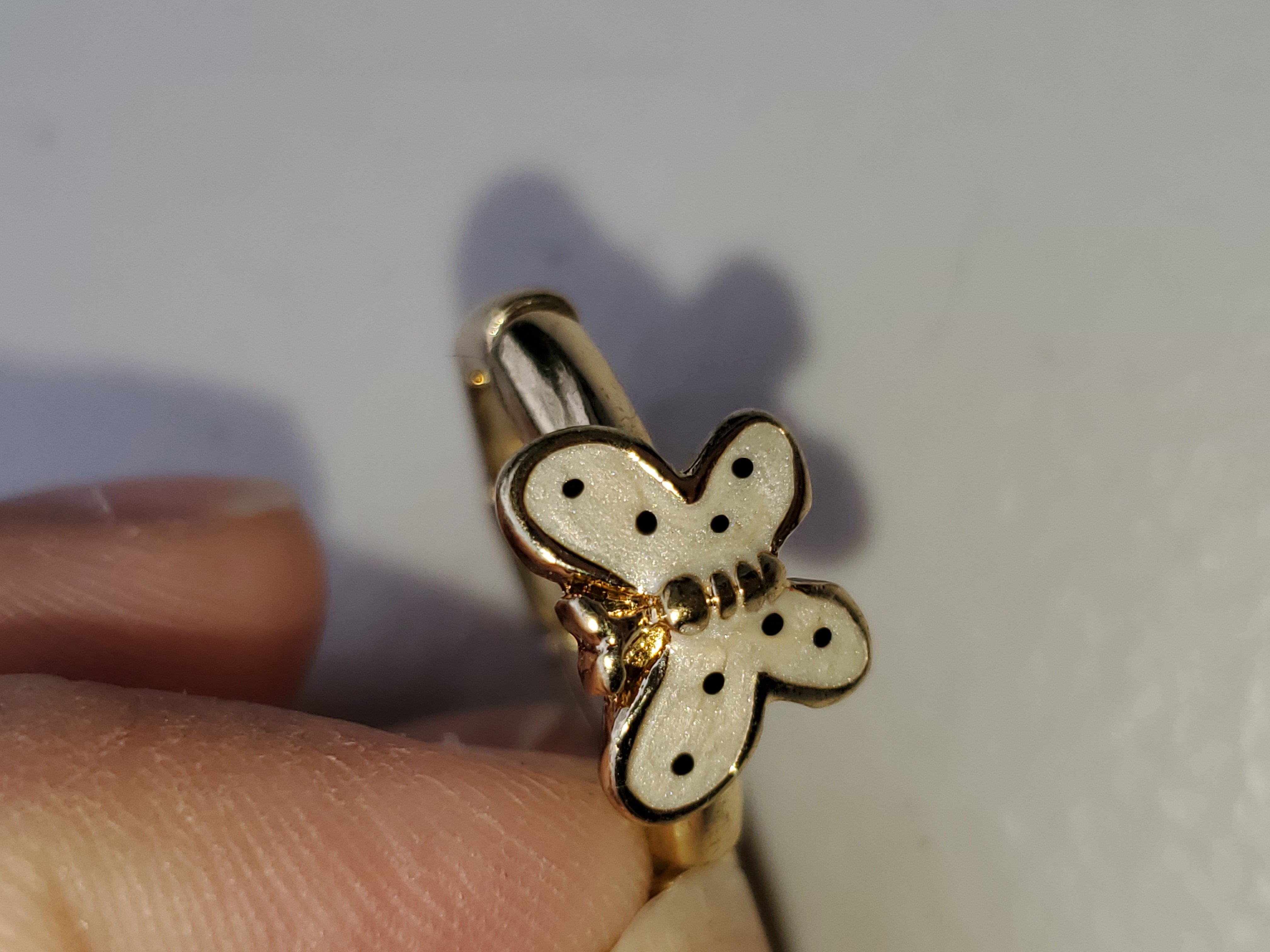 Dotted moth