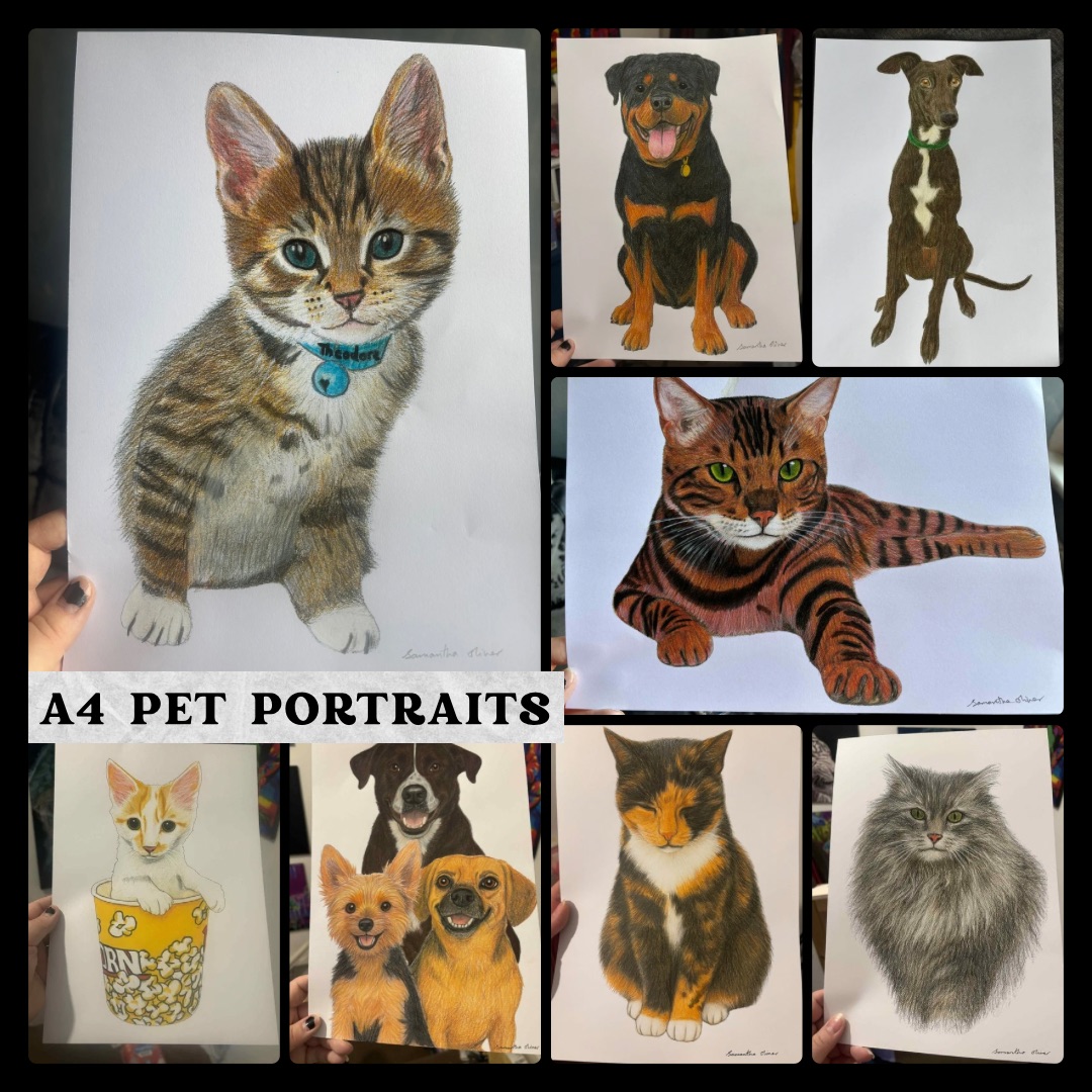 A4 Coloured Pencil Pet Portraits