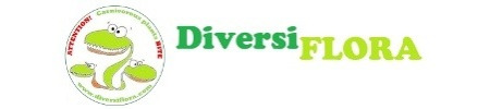 Diversiflora