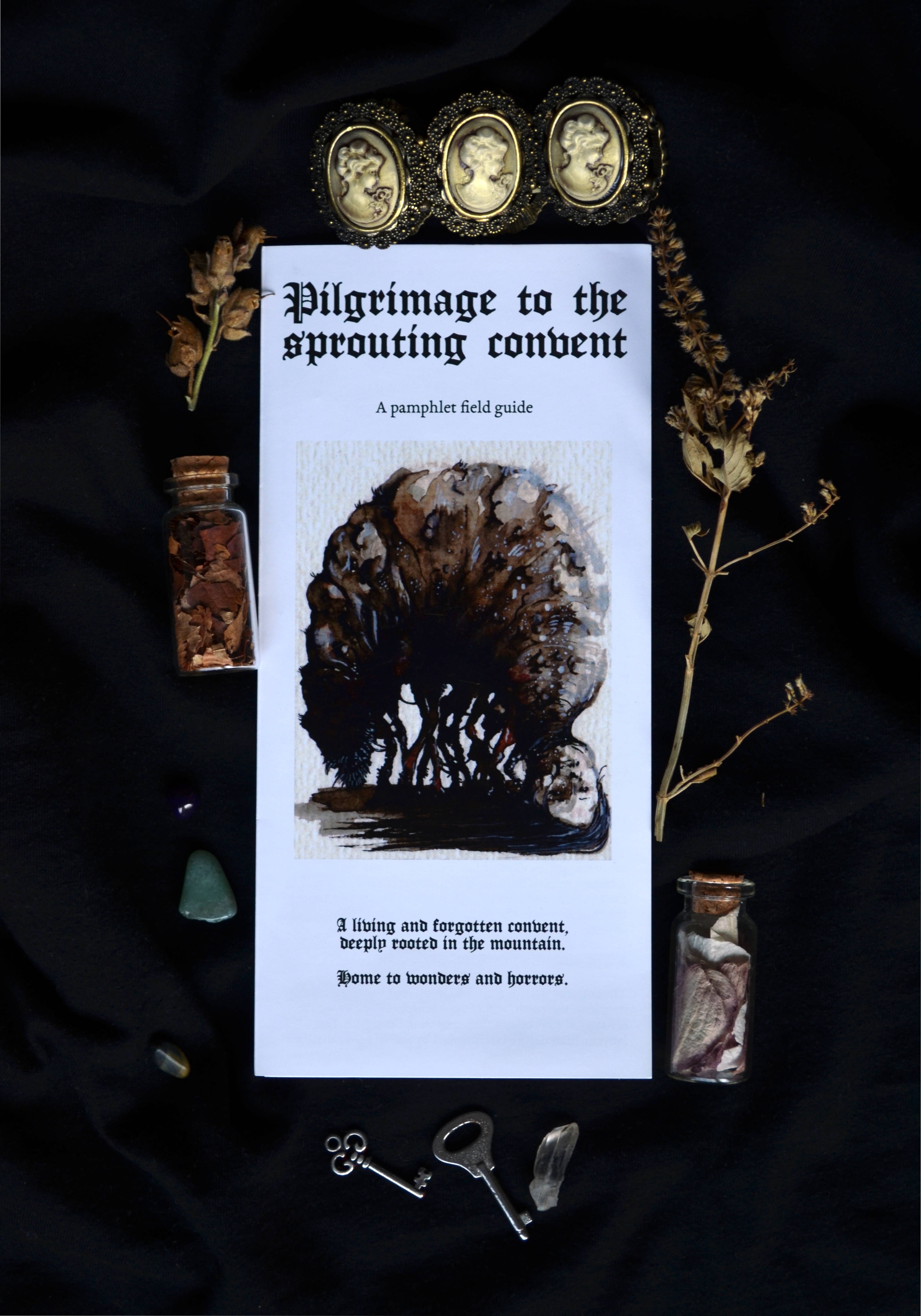 Pilgrimage to the sprouting convent [Physical edition]