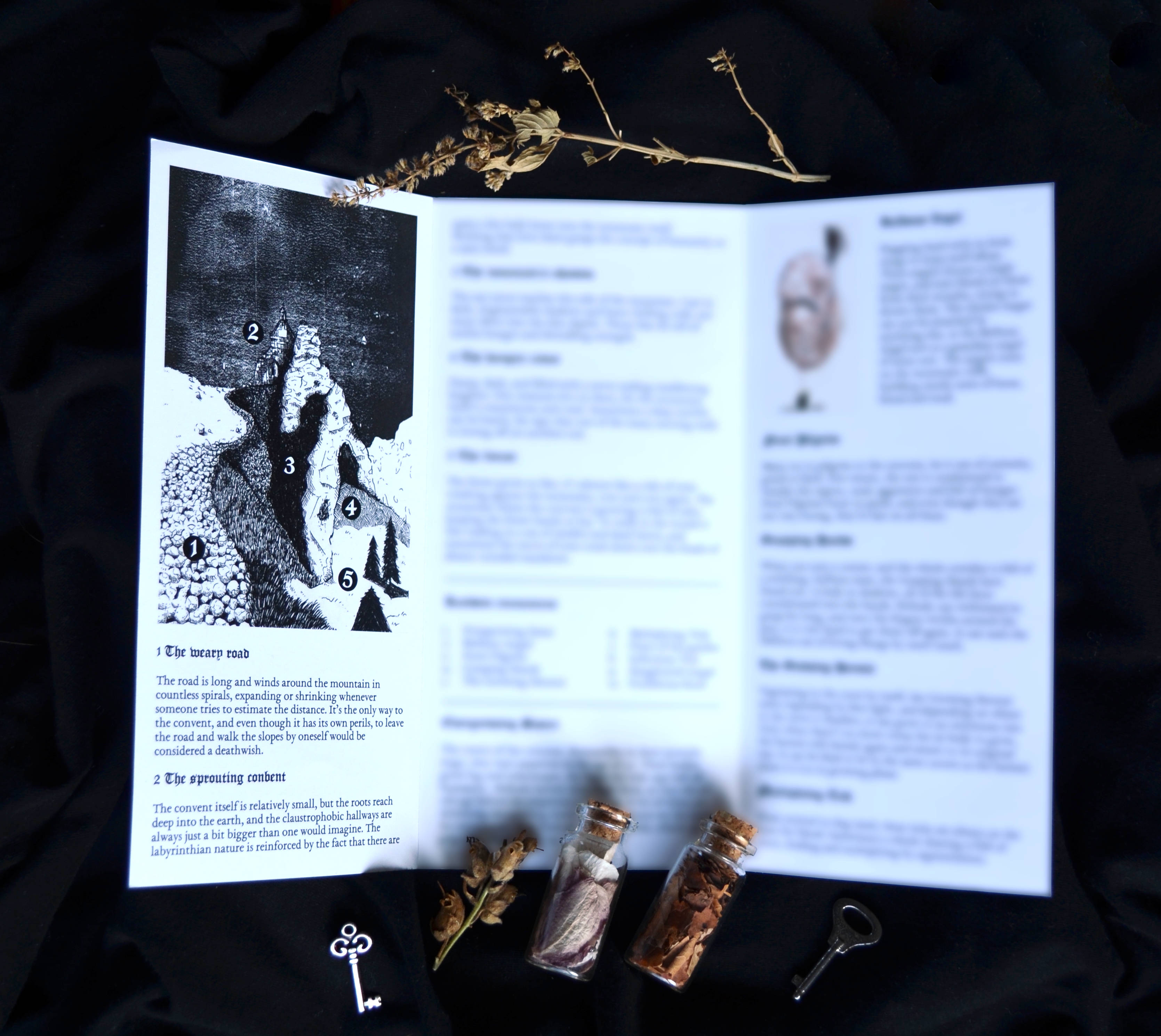 Pilgrimage to the sprouting convent [Physical edition]