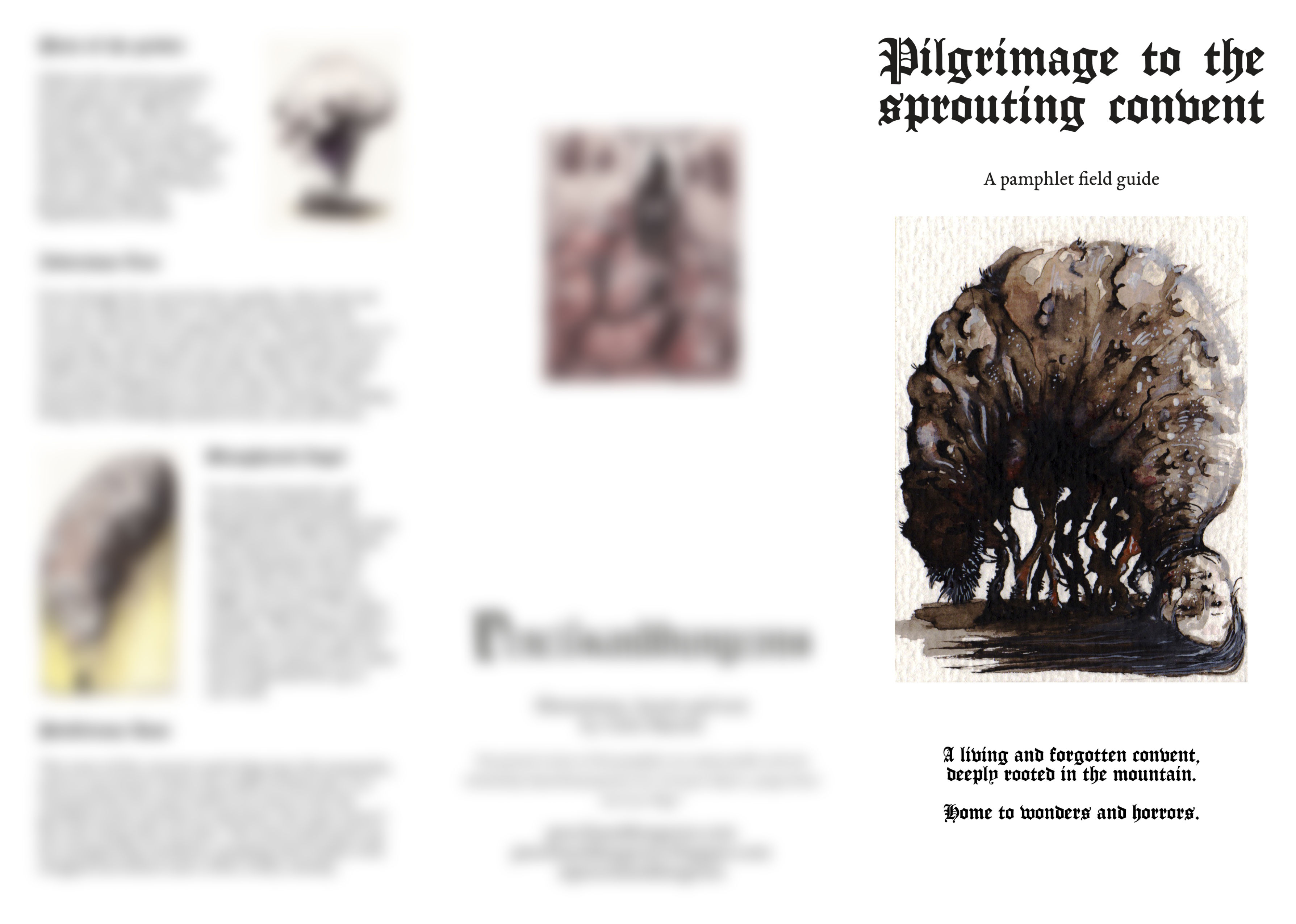 Pilgrimage to the sprouting convent [Digital edition]