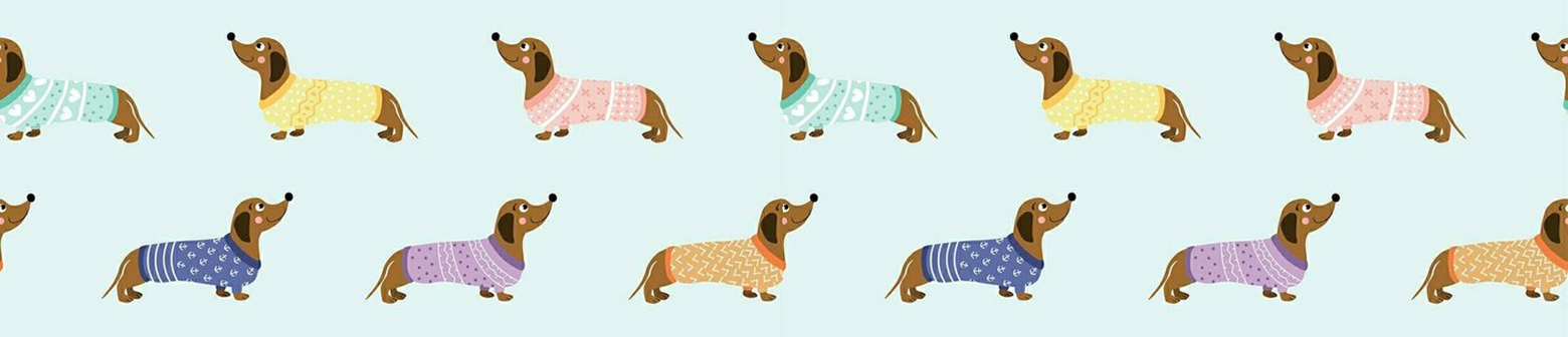 Sweater Dachshund