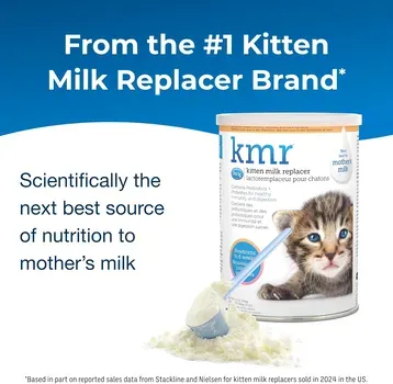 KittyBloom Milk Powder close-up