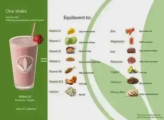 HERBALIFE Healthy Meal マンゴー 2本セット HERBALIFE Healthy Meal マンゴー 2本セット