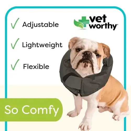 Vet Worthy Inflatable Protective Dog Collar close-up