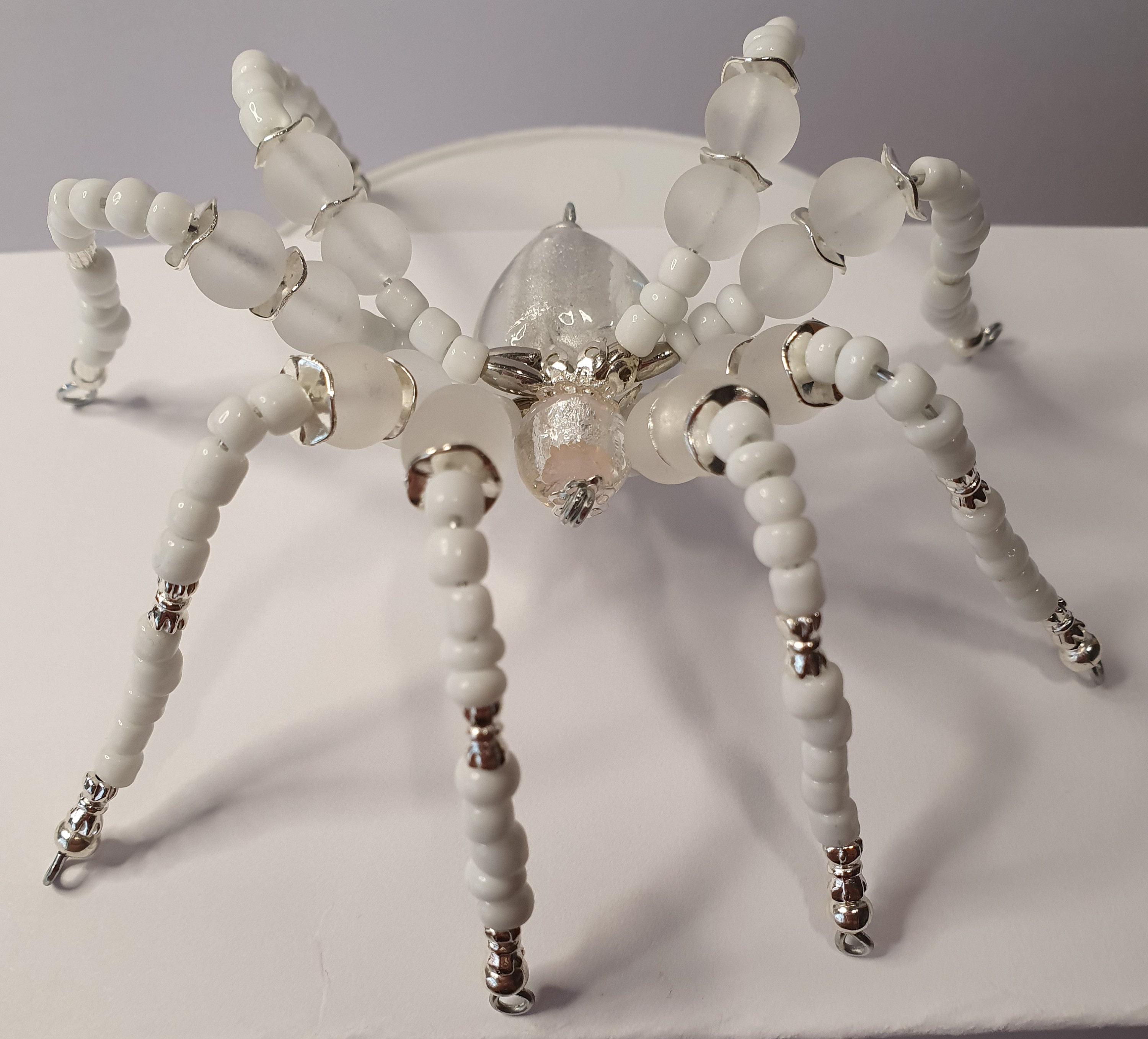 Awesome Arachnids