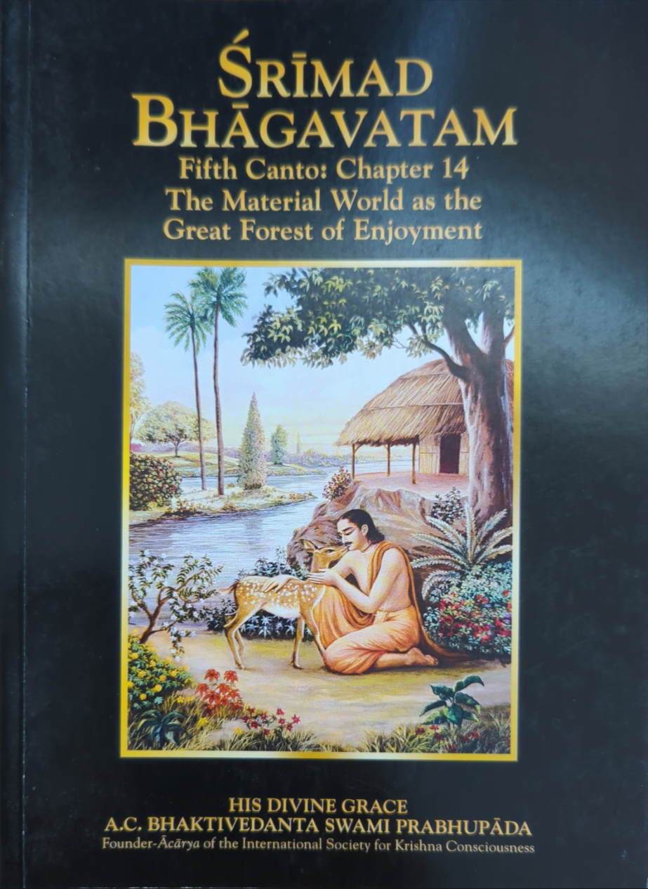 Srimad Bhagavatam: Set of 10 chapters from different Cantos