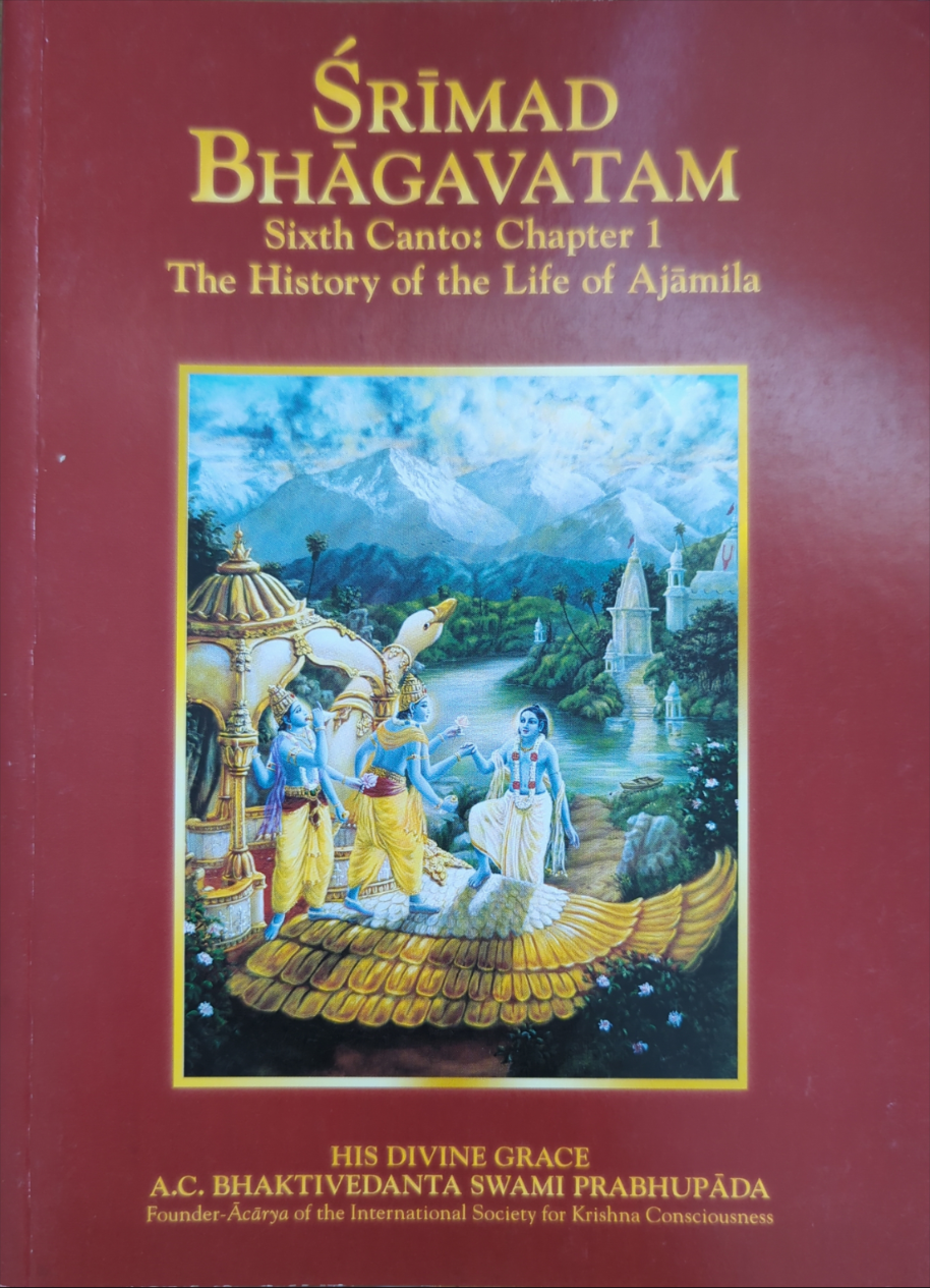 Srimad Bhagavatam: Set of 10 chapters from different Cantos