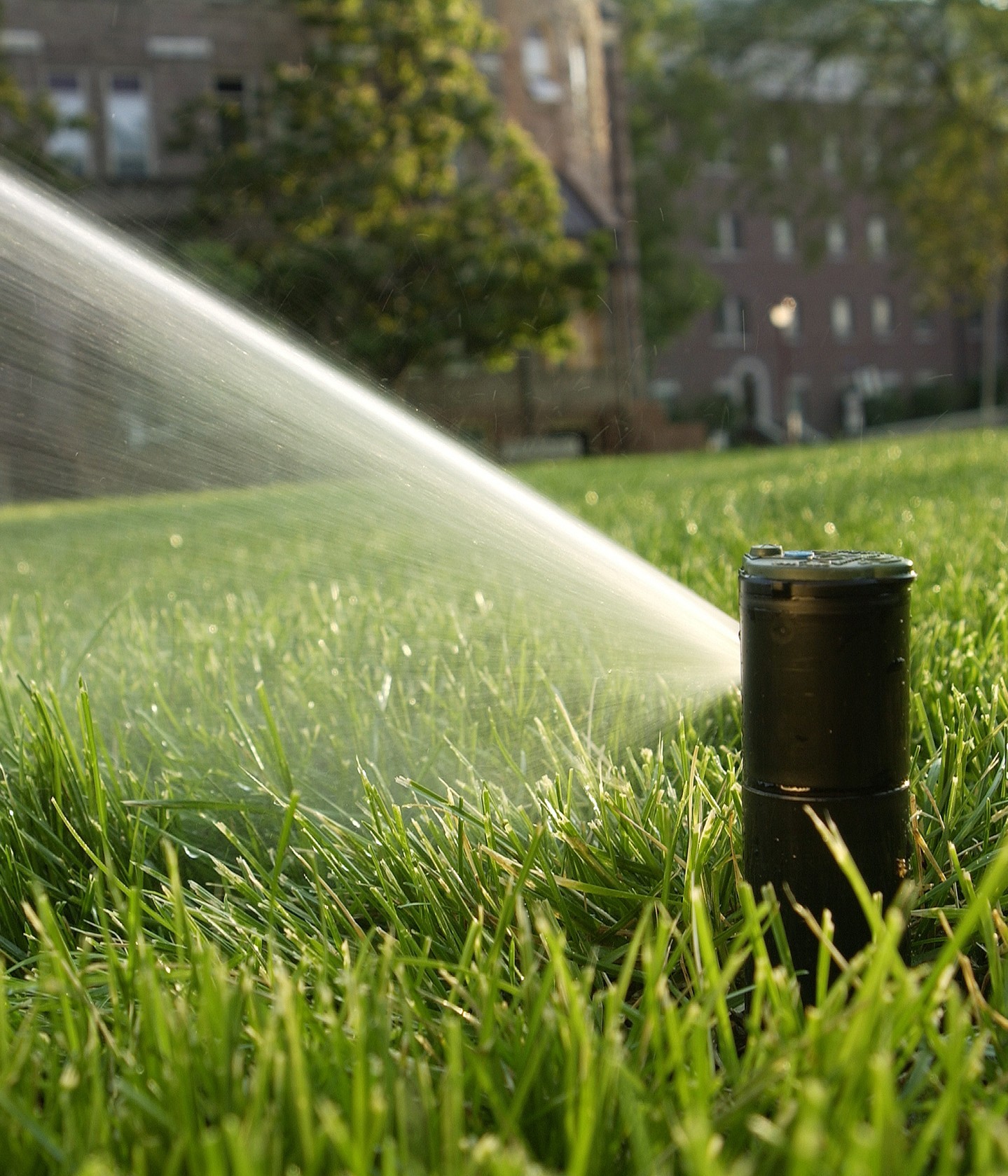 Garden Irrigation
