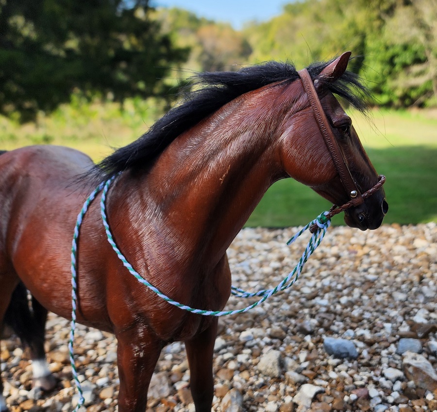 Bosal bridle # 2