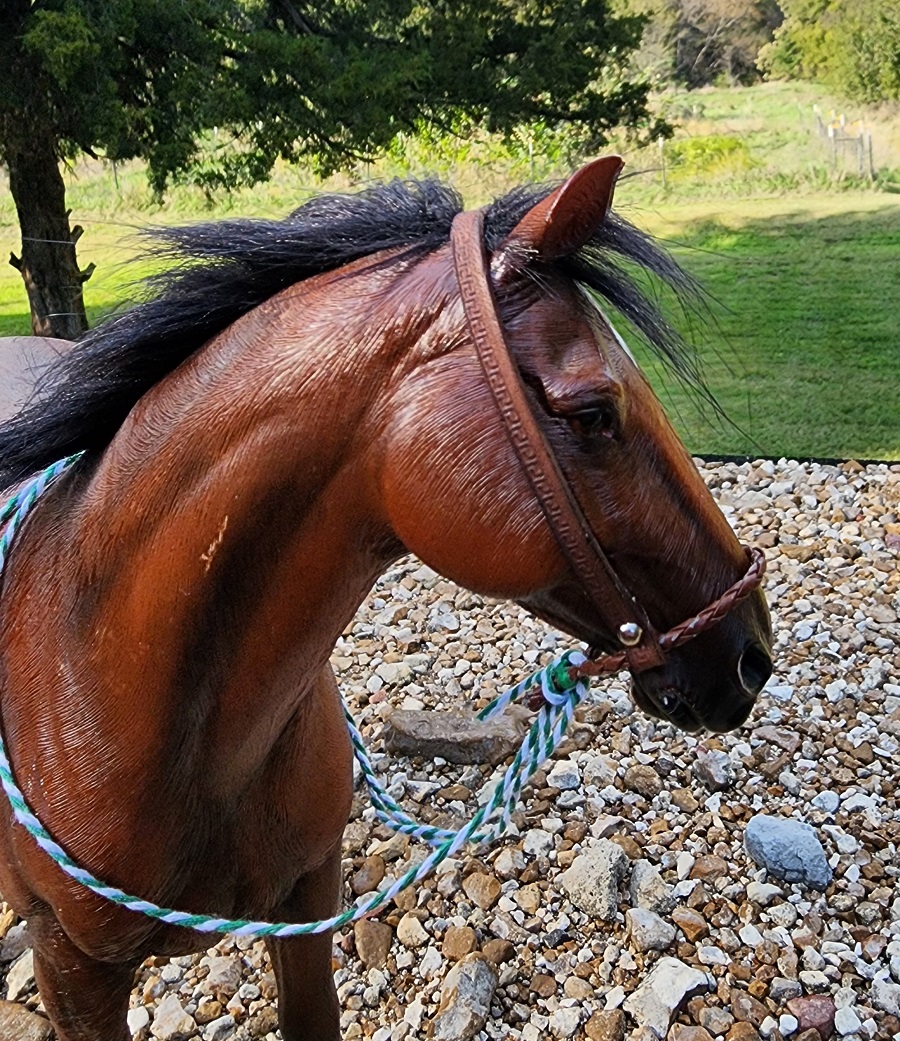 Bosal bridle # 2