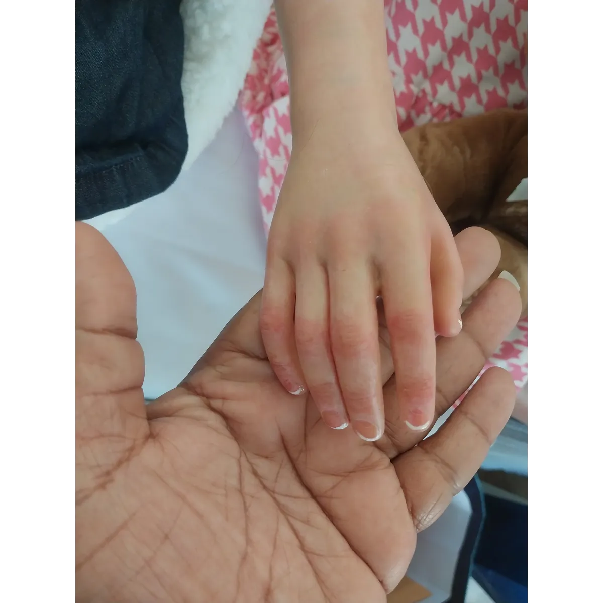 Corteria by Elisabeth Lindner