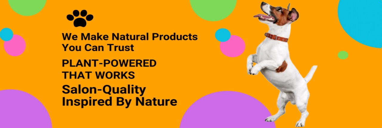 category main image header