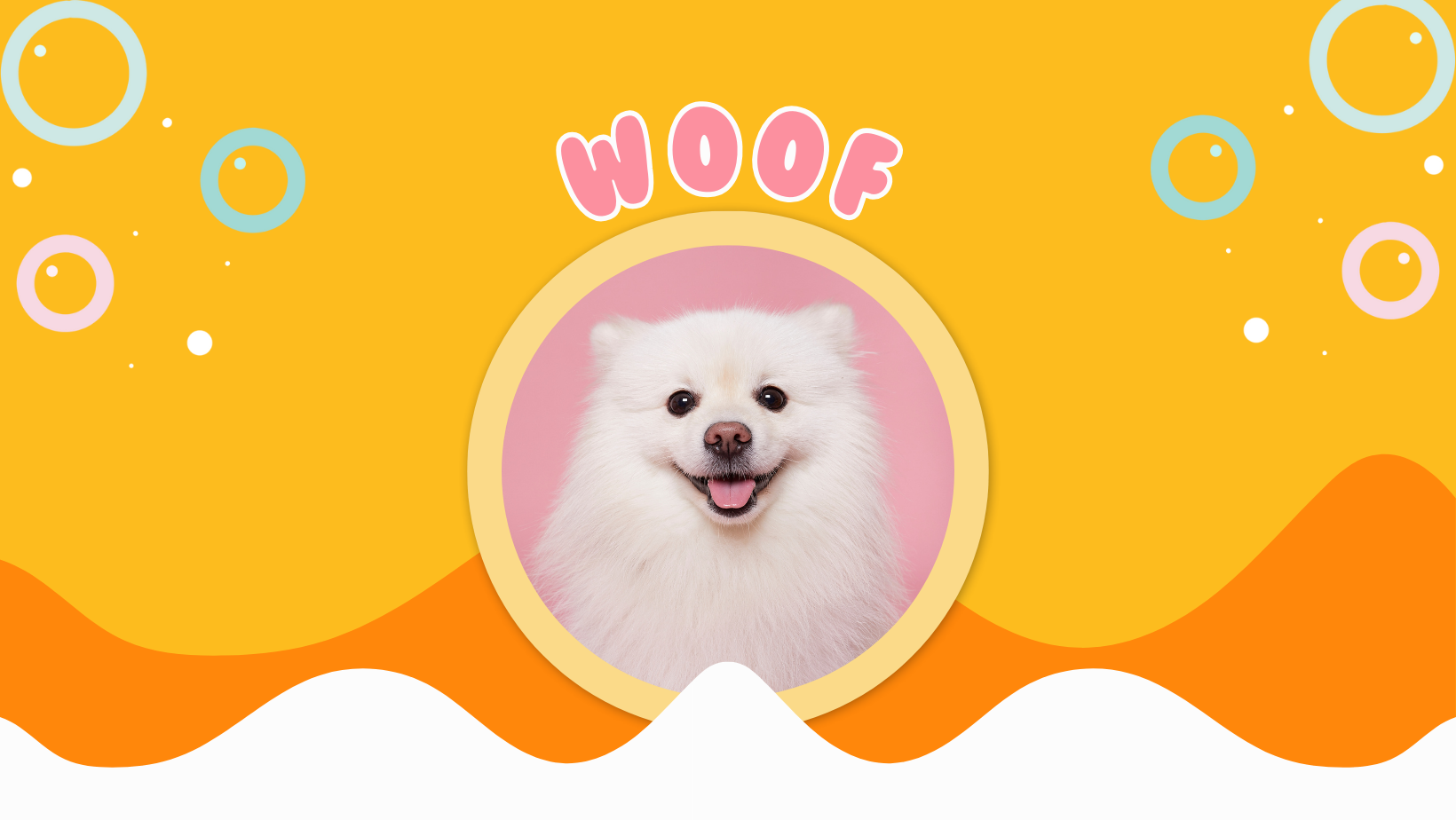 category main image header
