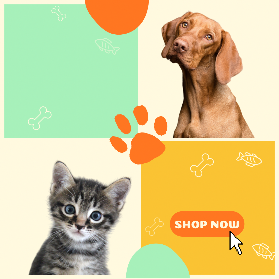 category main image header