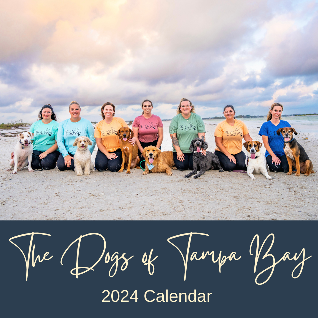 The Dogs of Tampa Bay 2024 Calendar