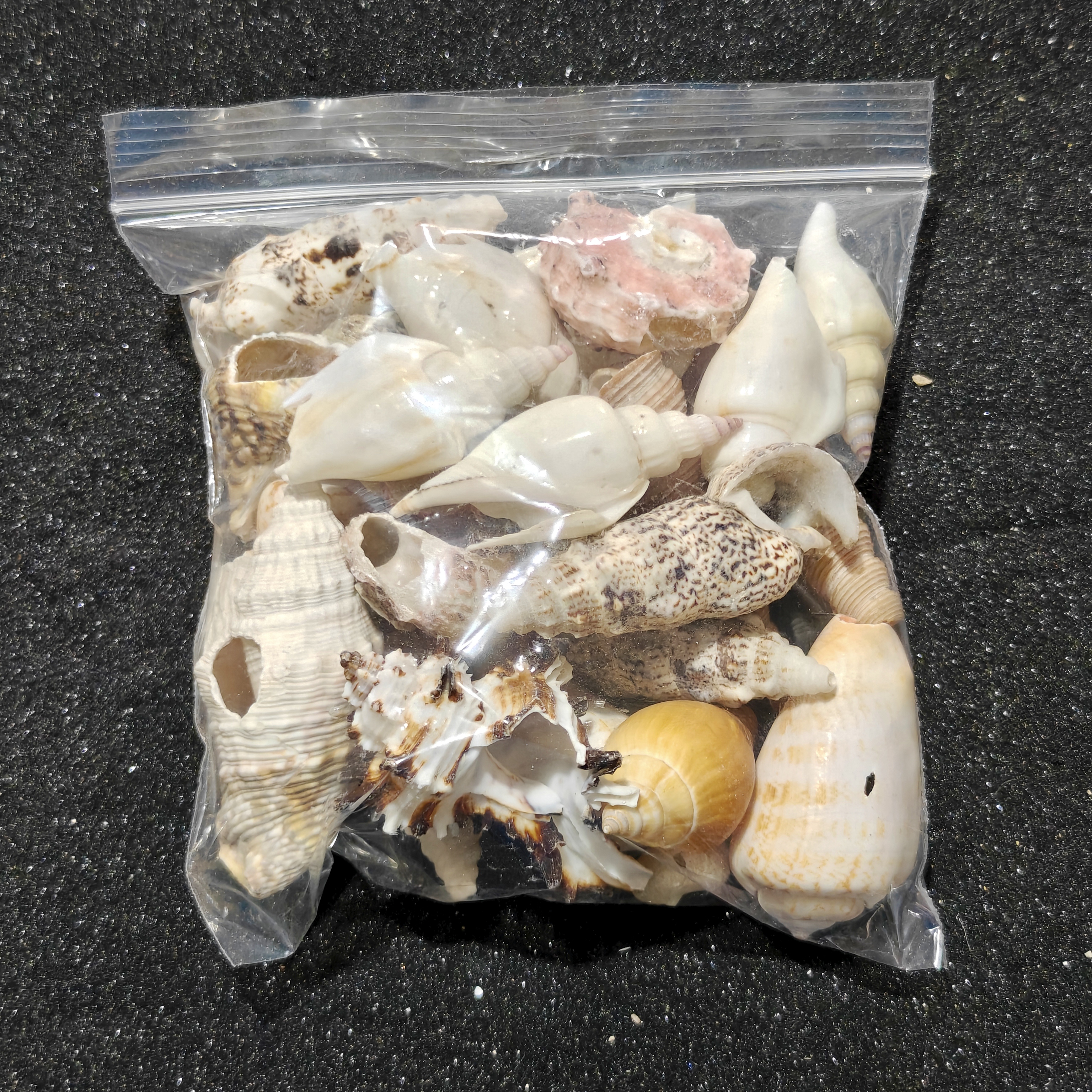 250g Broken Shell Selection
