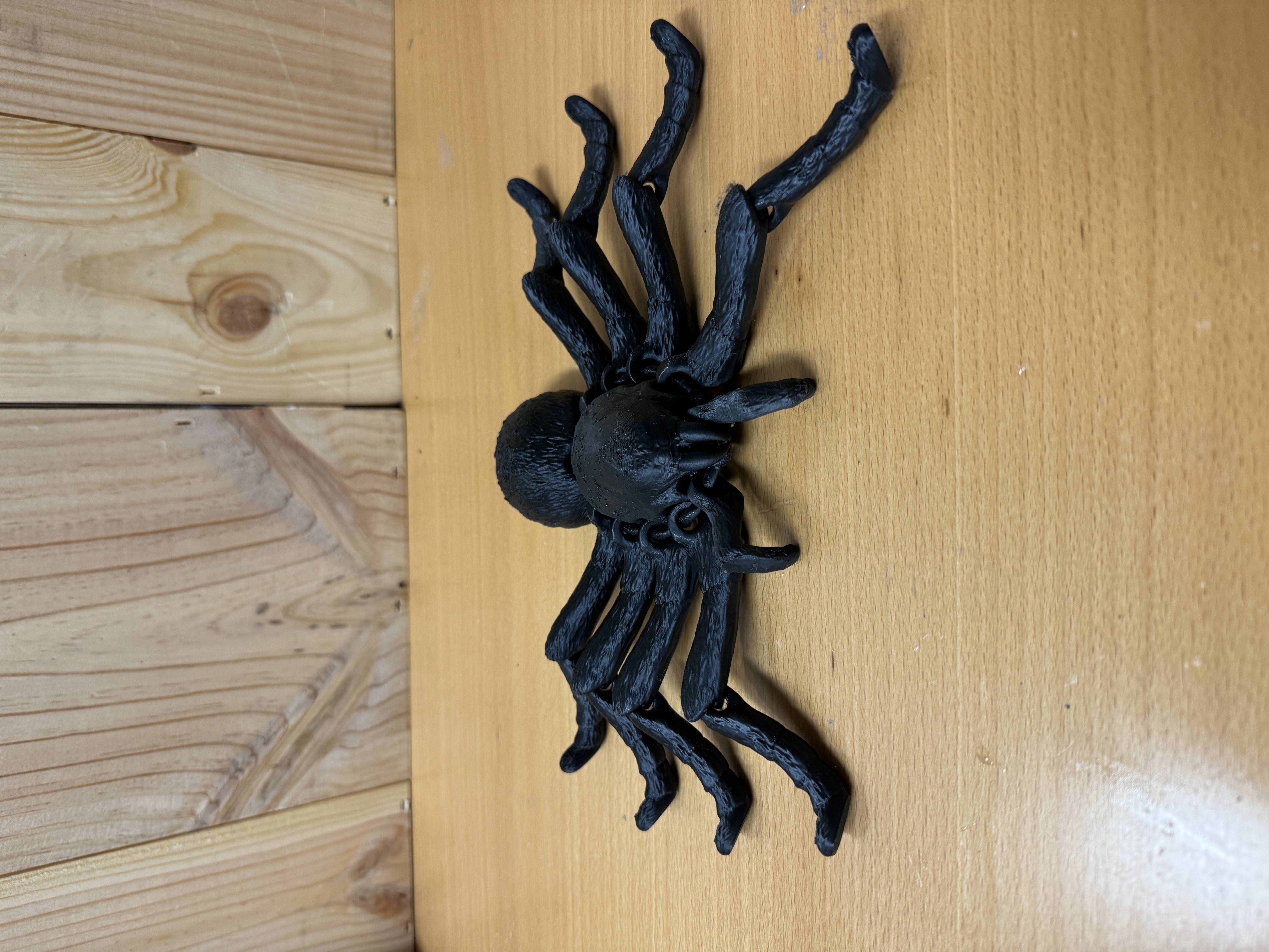 Tarantula með liðamótum