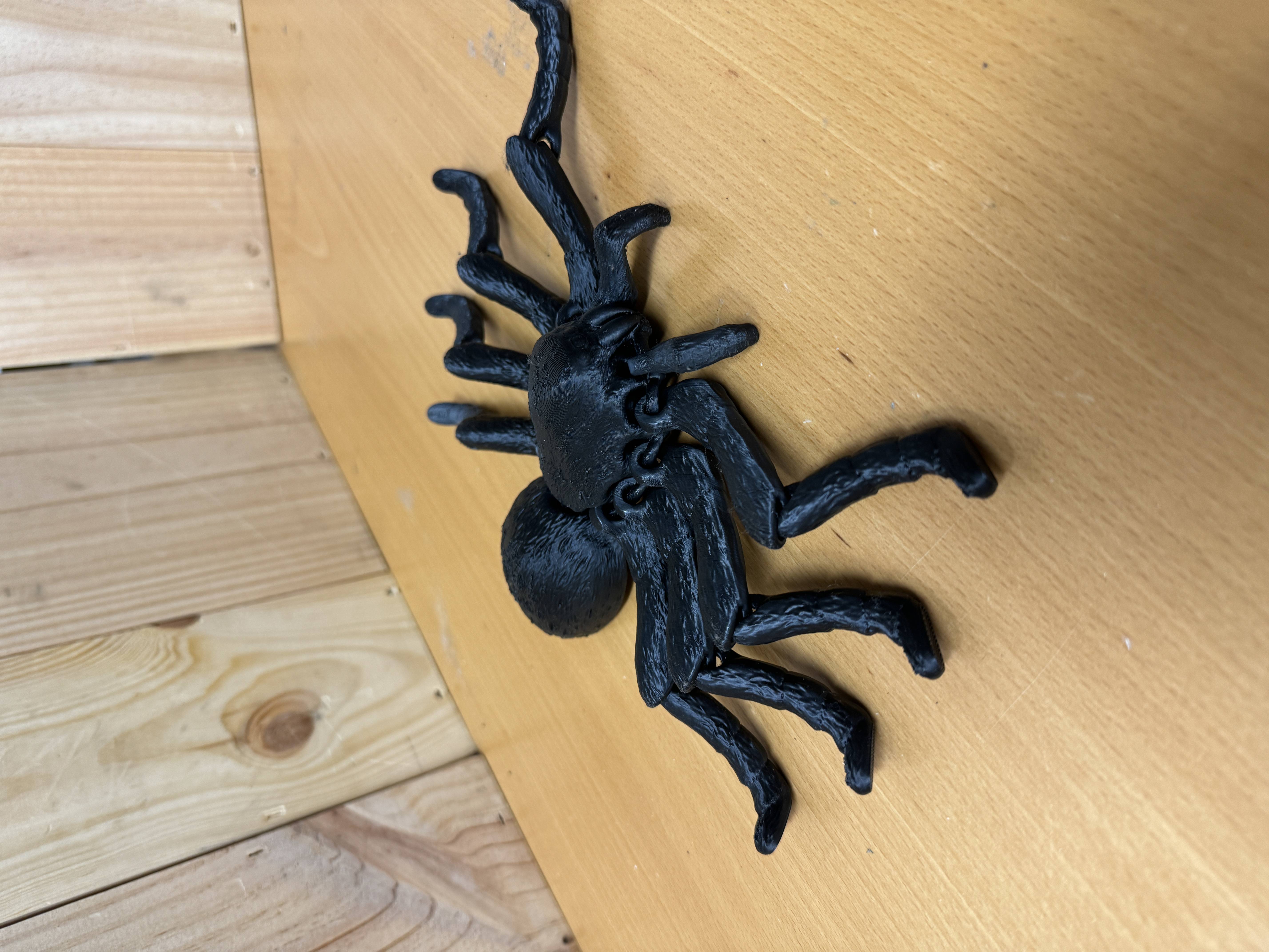 Tarantula með liðamótum