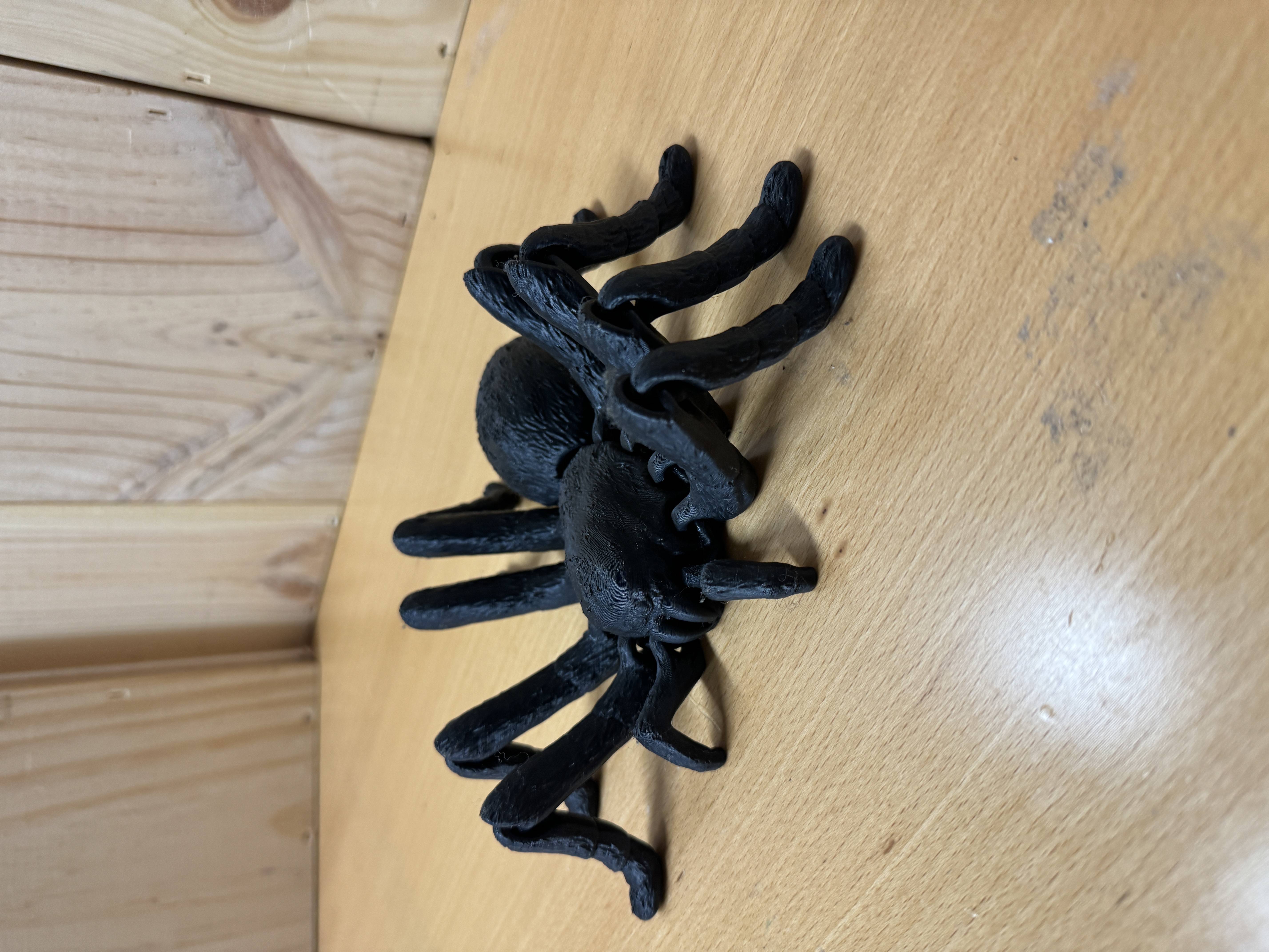 Tarantula með liðamótum